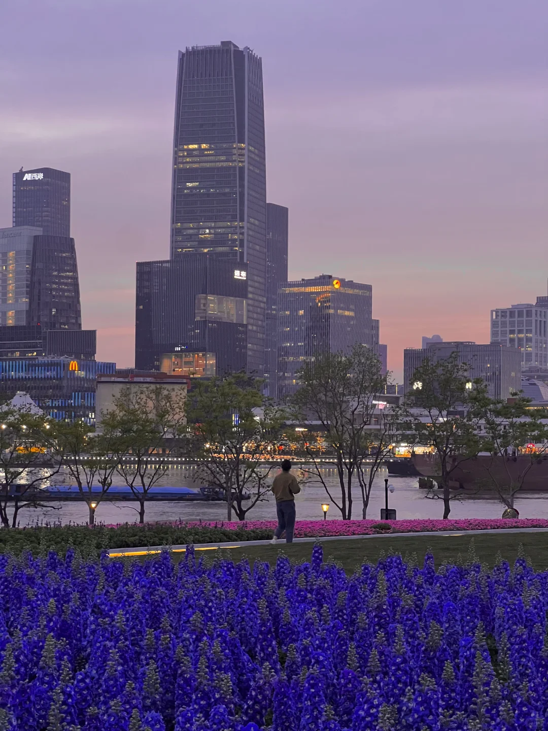 春日欢迎会|上海花展简直莫奈花园+爱乐之城