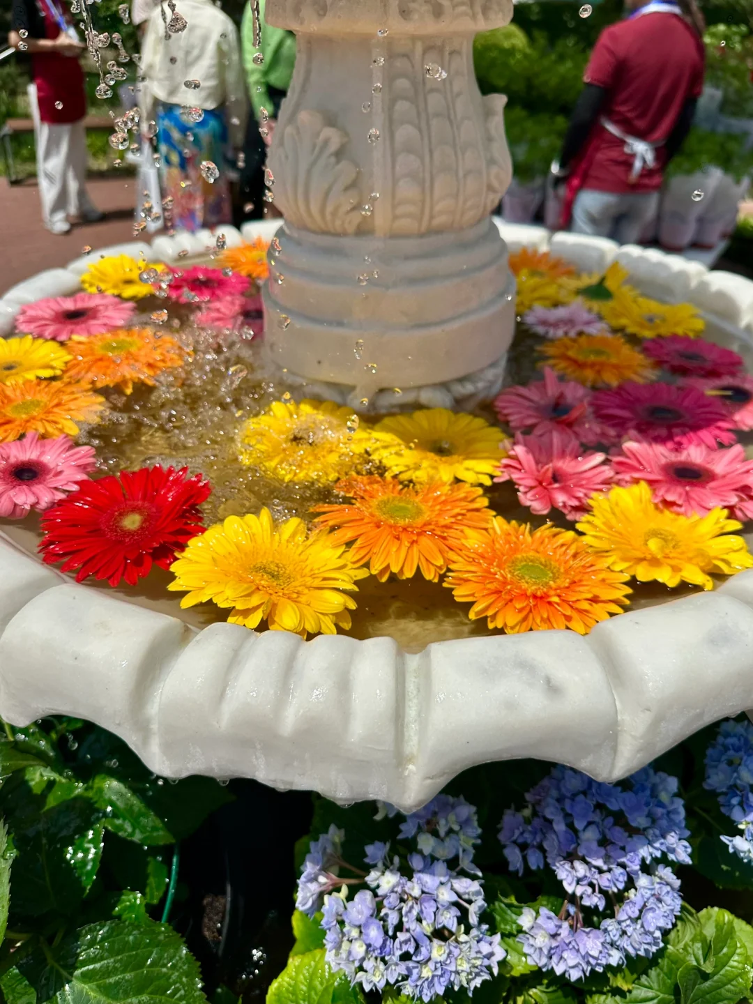 上海花展新天地机位?这篇都帮你整理好了?