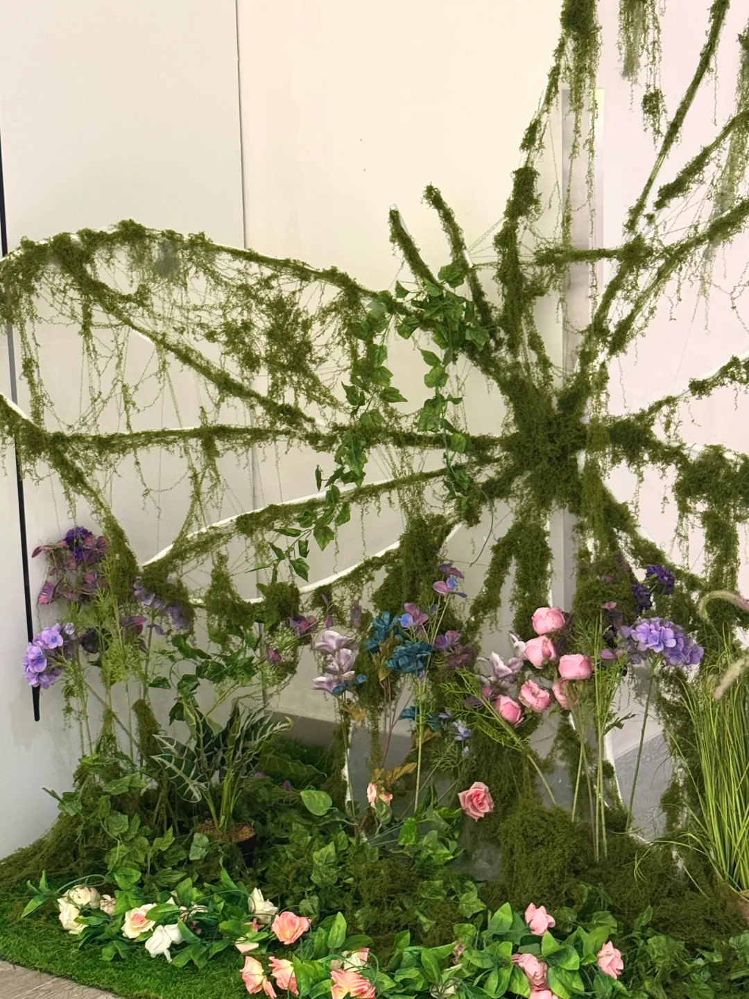 深圳新展｜?华南首家超500 m²大型蝴蝶展