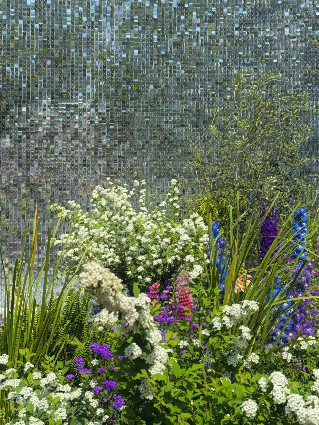 魔都看展|春日必看展?城市中心的莫奈花园