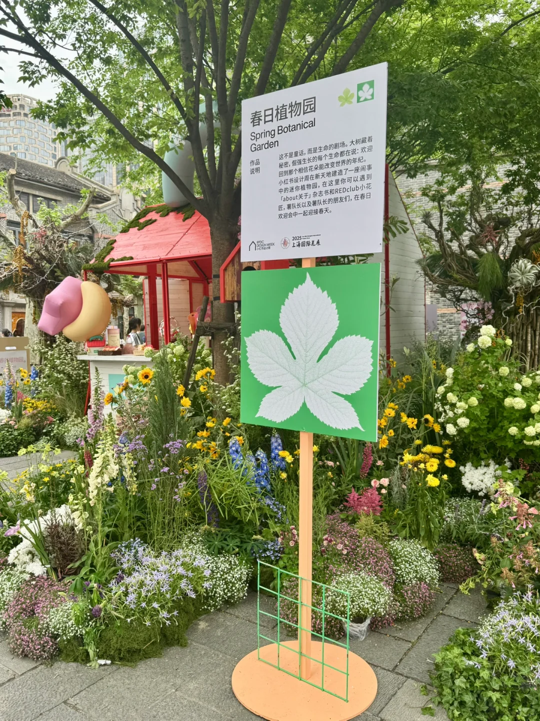 上海花展暴走攻略！亮黄小报开启夏日副本