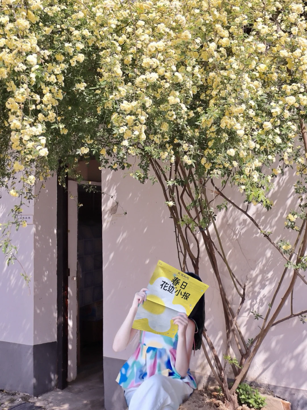 上海超全的2025国际花展花期指南来了！！