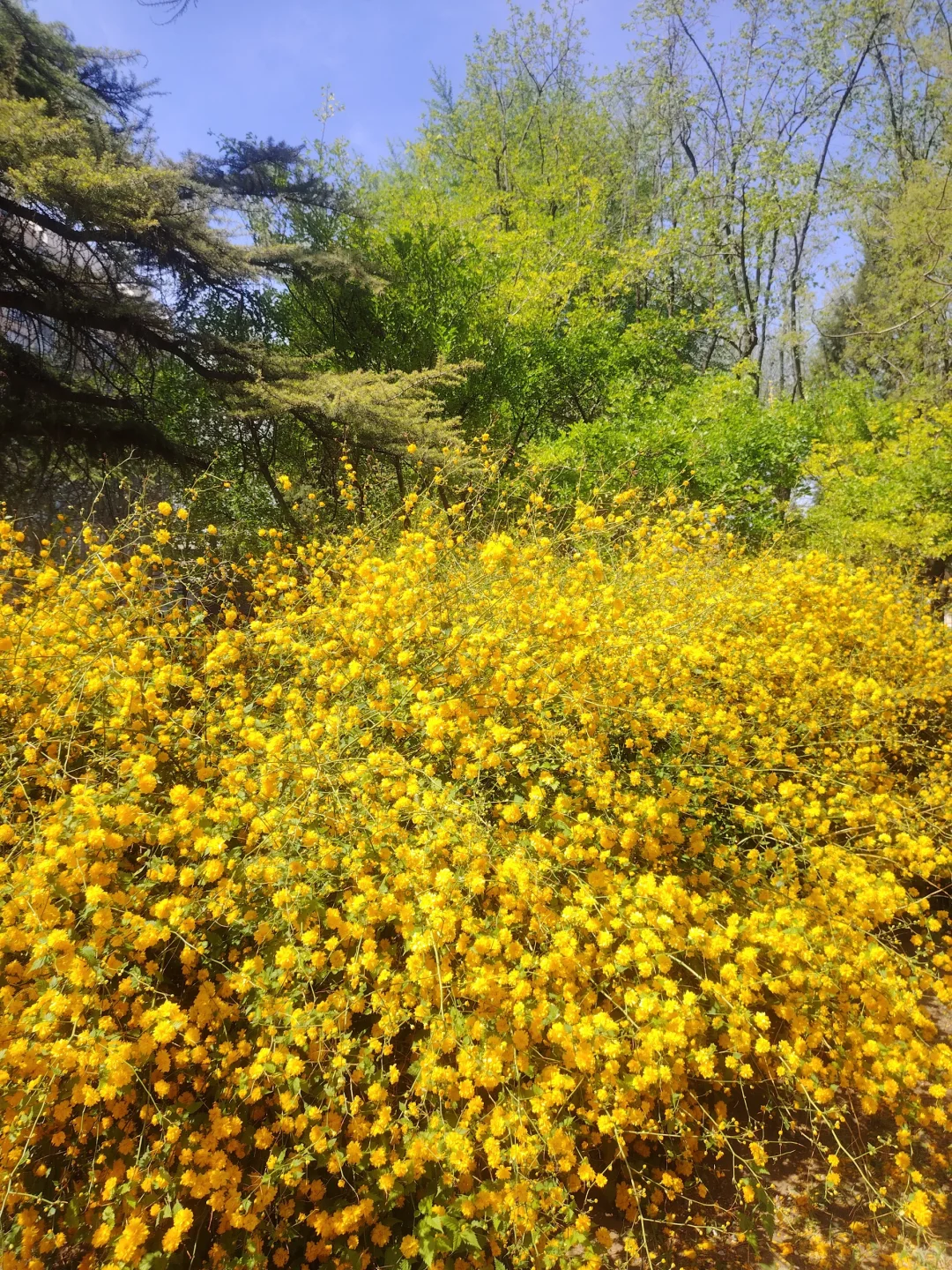 2025年沙特冶金铸造钢铁展会