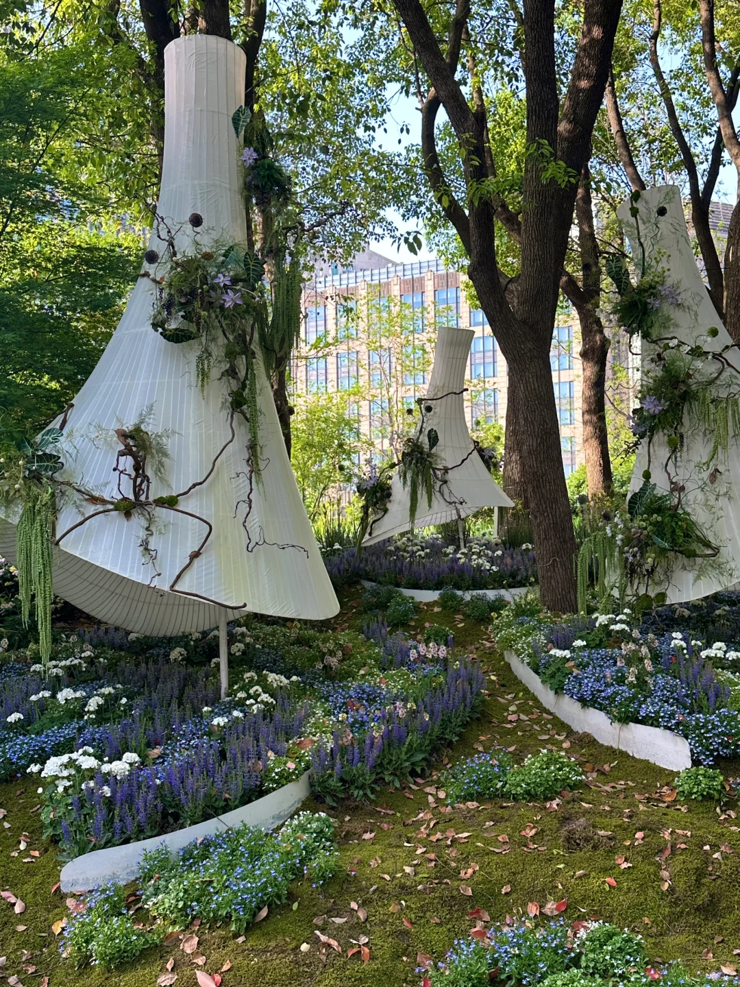 春日欢迎会｜?上海花展1.5h懒人赏花路线！