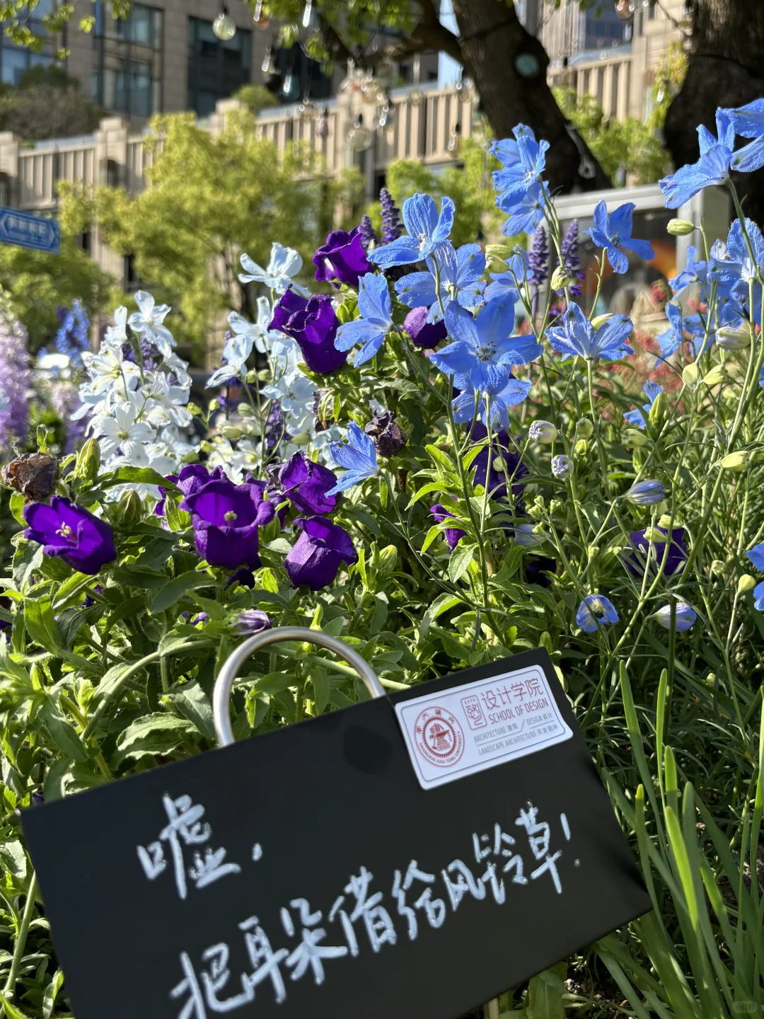 超喜欢上海交大设计学院的“脑迷宫”花园