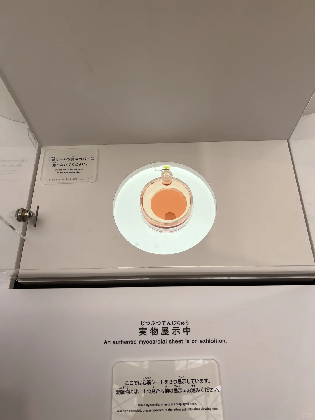 大阪世博会 去了！！说说真实感受