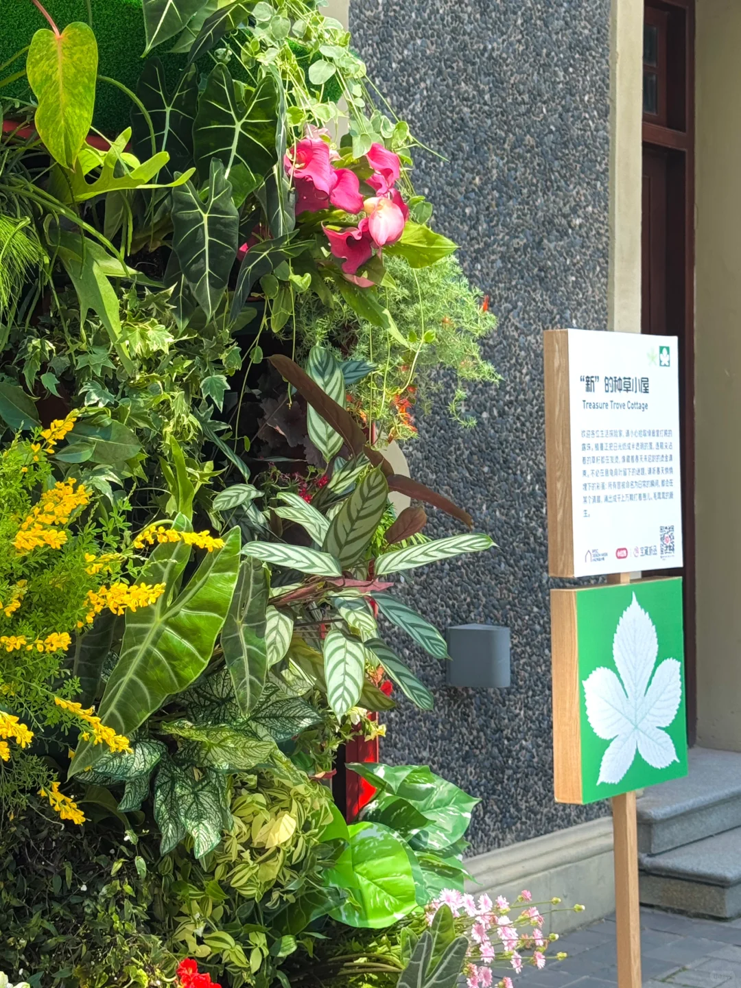 魔都看展|春日必看展?城市中心的莫奈花园