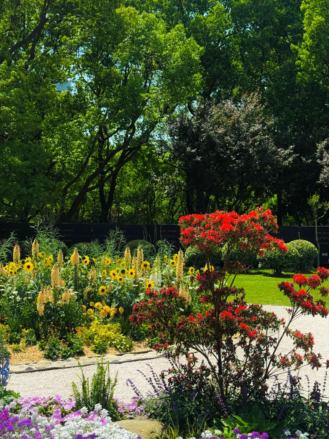 魔都看展|春日必看展?城市中心的莫奈花园