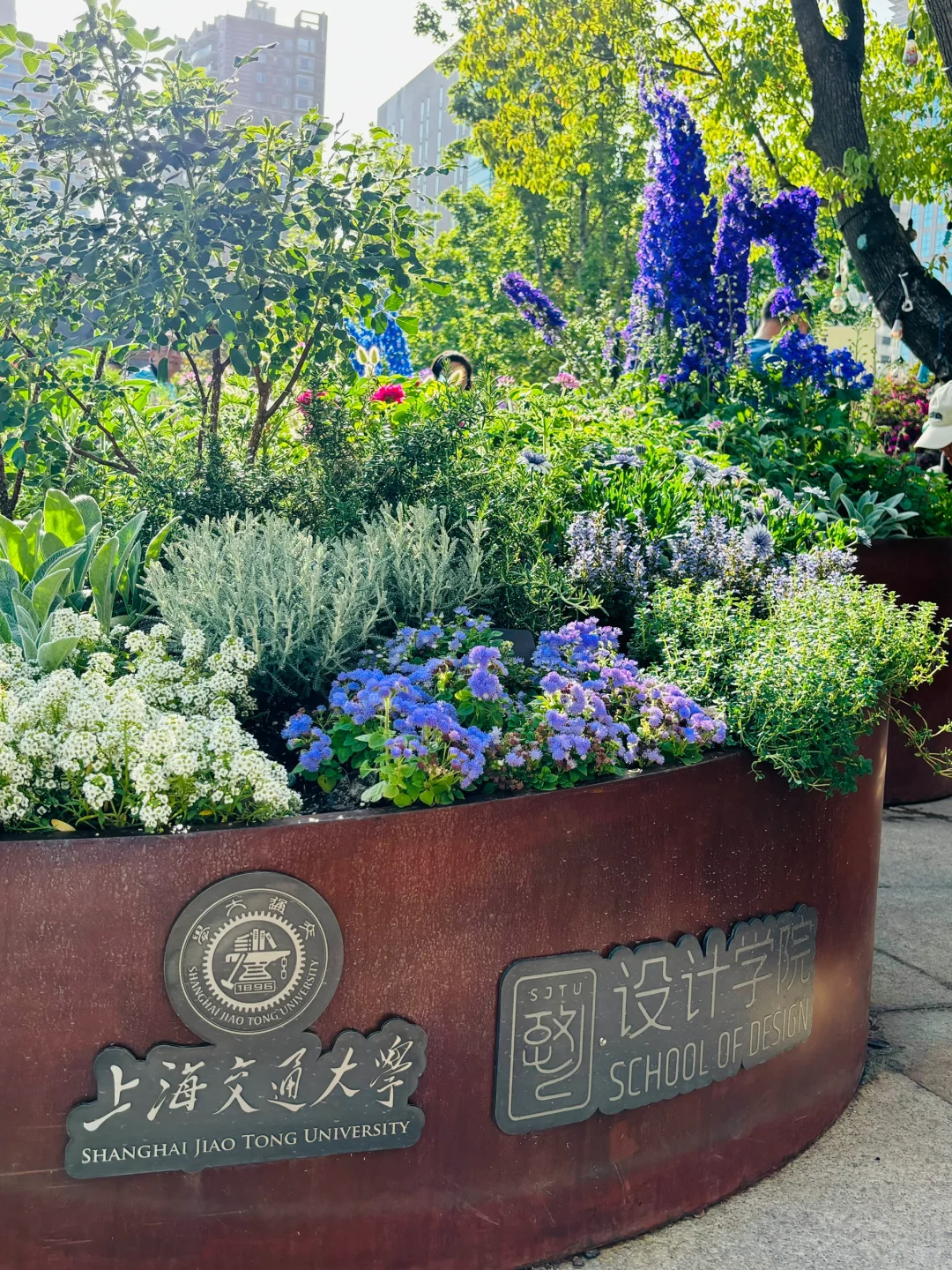 超喜欢上海交大设计学院的“脑迷宫”花园