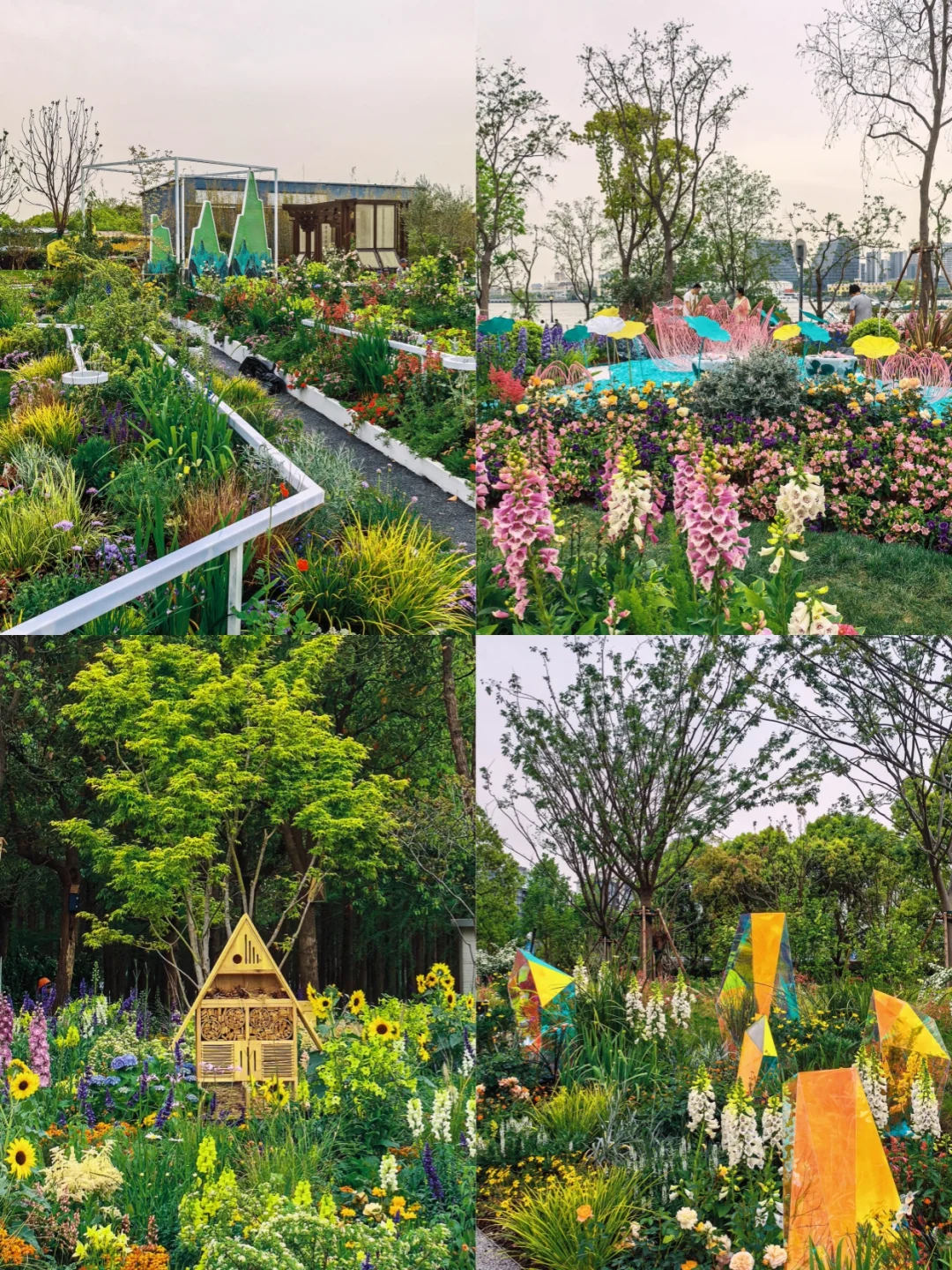 前滩国际花展：路线图已画好！拿去逛吧！