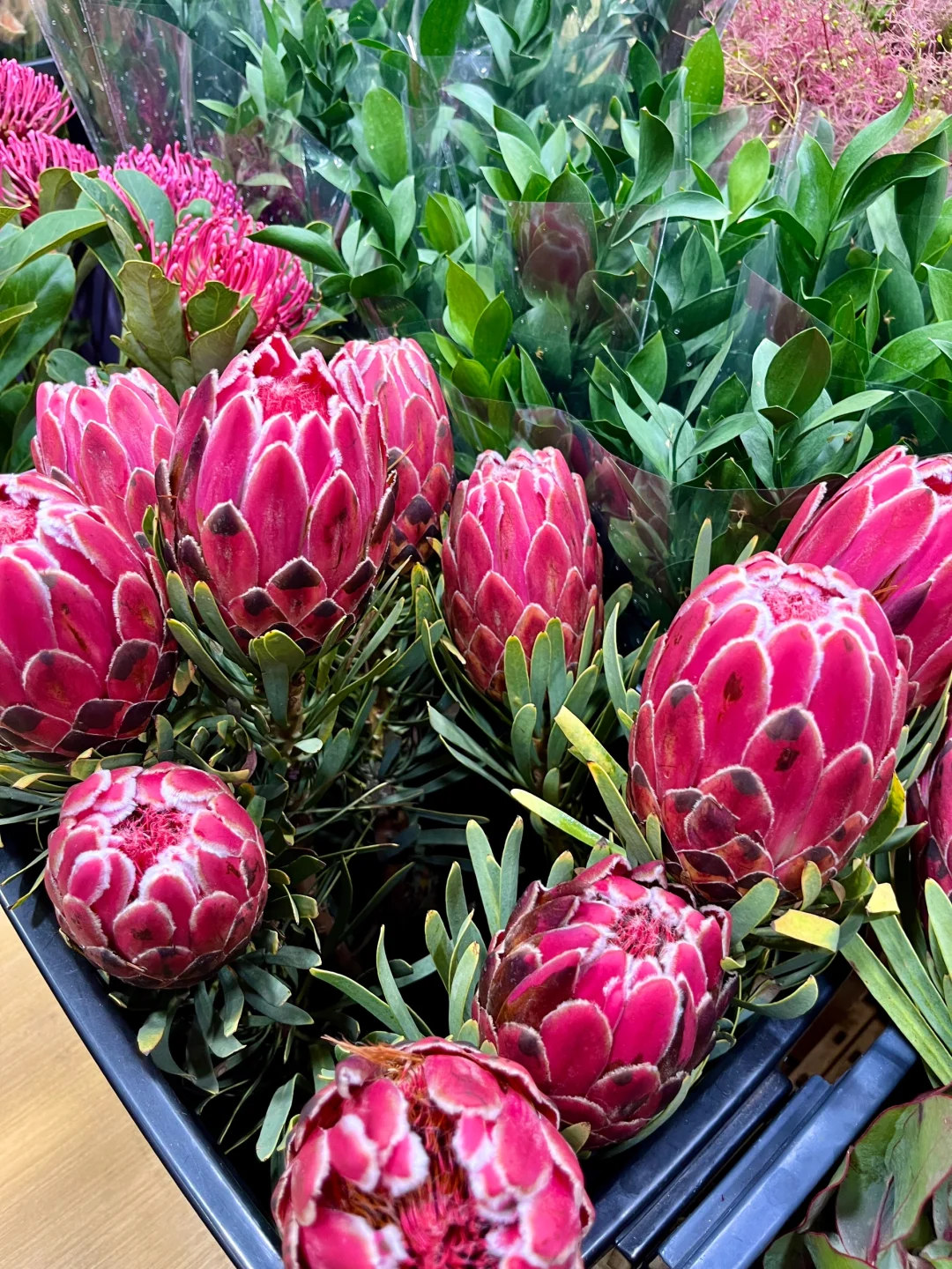 重庆买鲜花｜会展花市怎么逛？