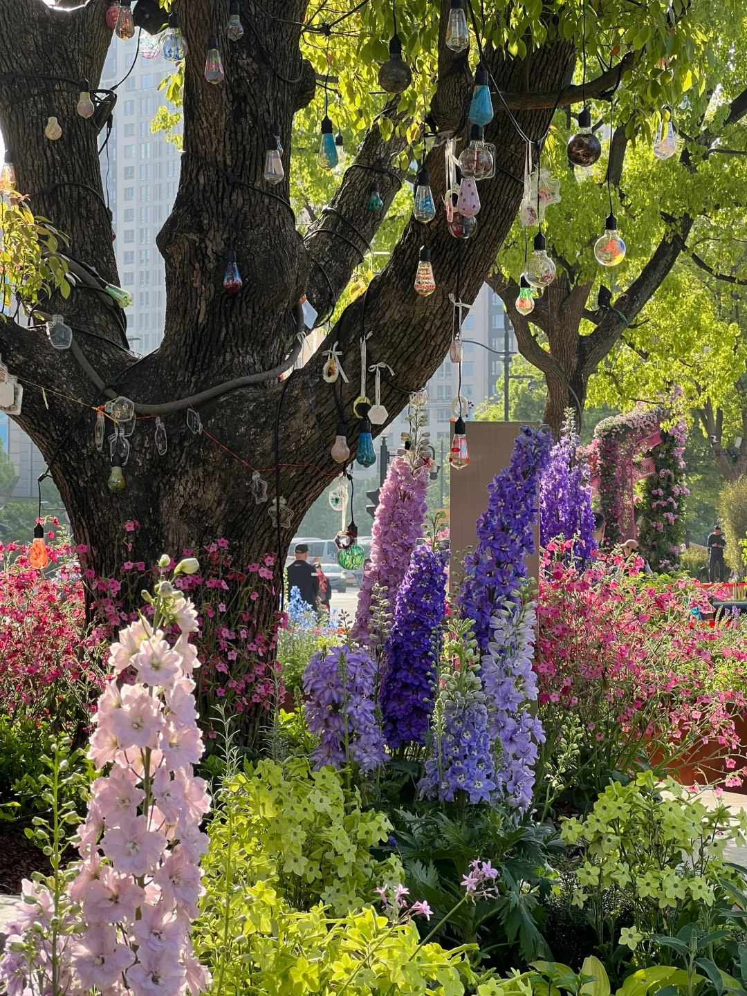 春日欢迎会｜有2w人周末去的上海赏花路线?