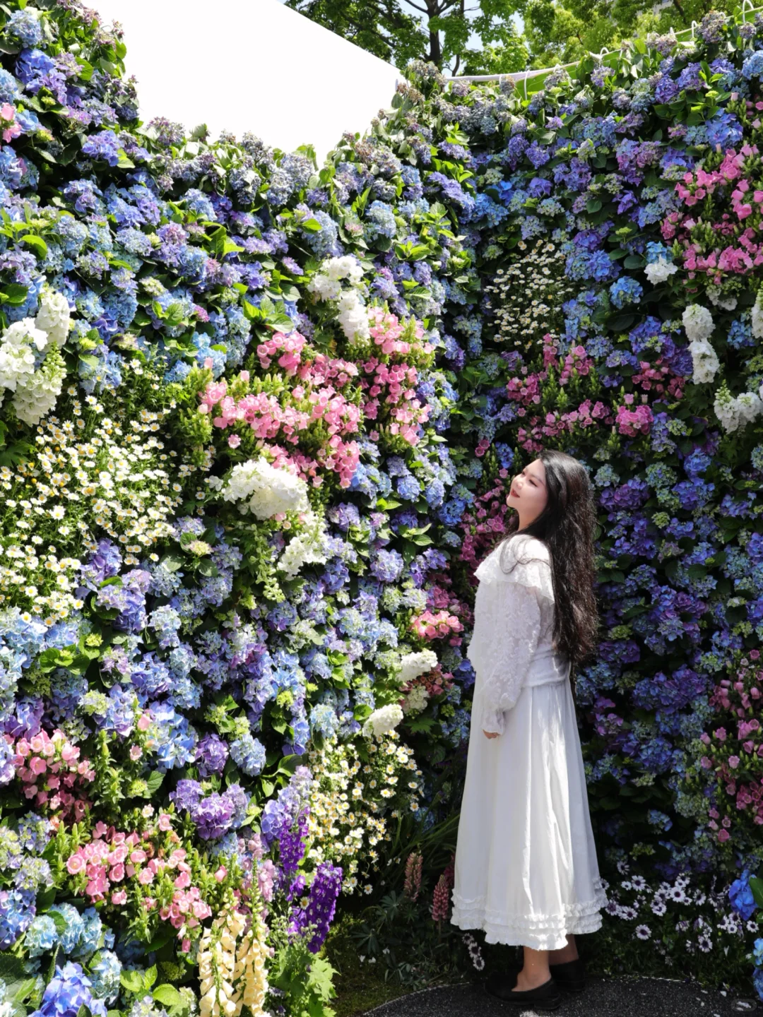 嗲呀‼️新天地不愧是上海花展主会场?附攻略