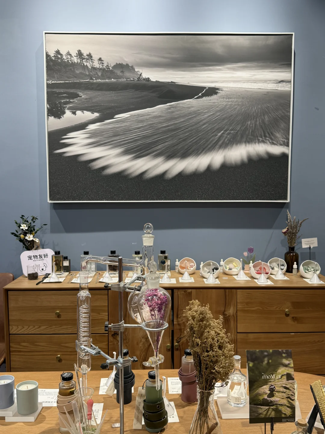 天津新展?在破碎镜像里闻见千万种自己?