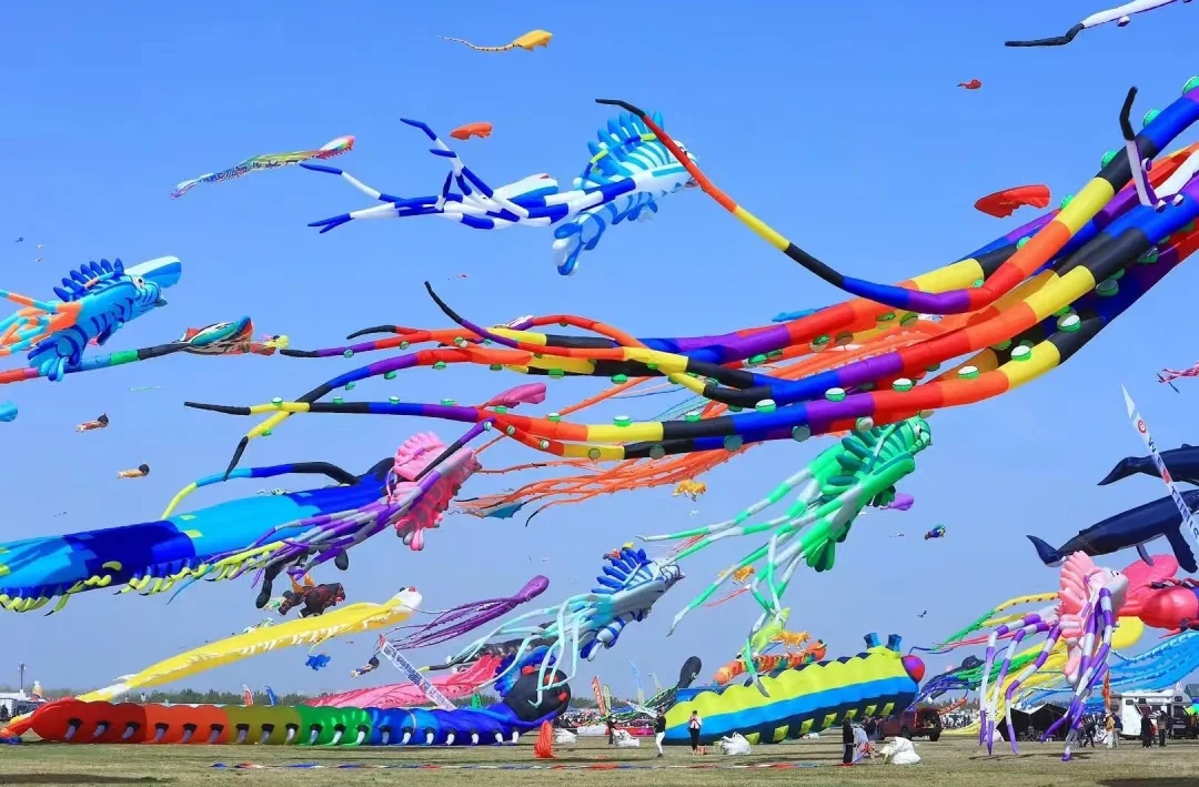 ?潍坊风筝节:万物皆可飞！