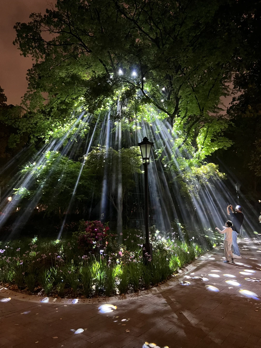 春日欢迎会｜有2w人周末去的上海赏花路线?