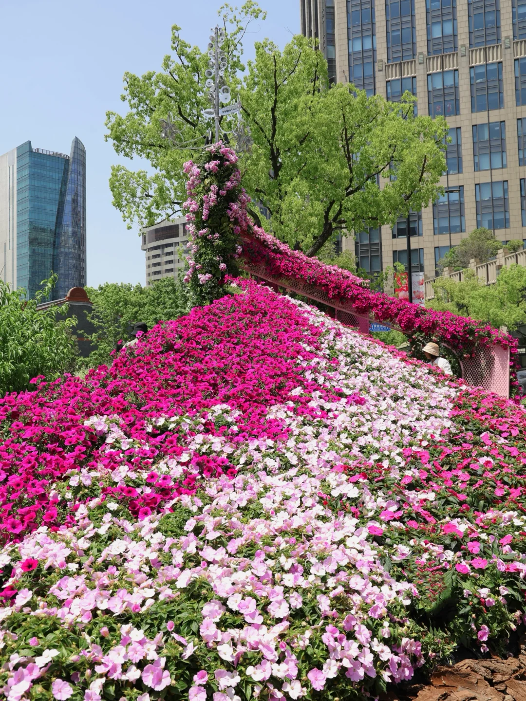 嗲呀‼️新天地不愧是上海花展主会场?附攻略