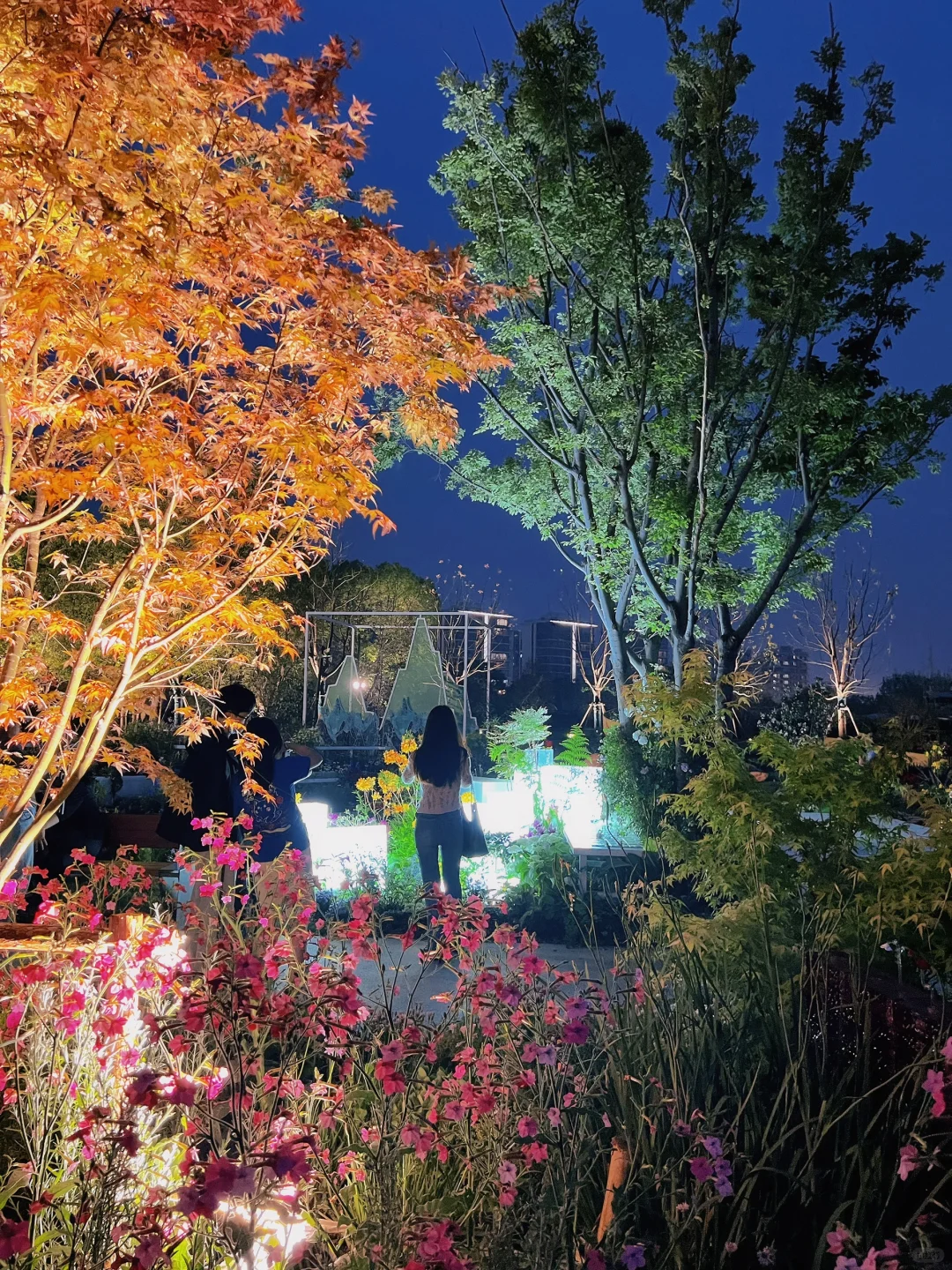 春日欢迎会|上海花展简直莫奈花园+爱乐之城