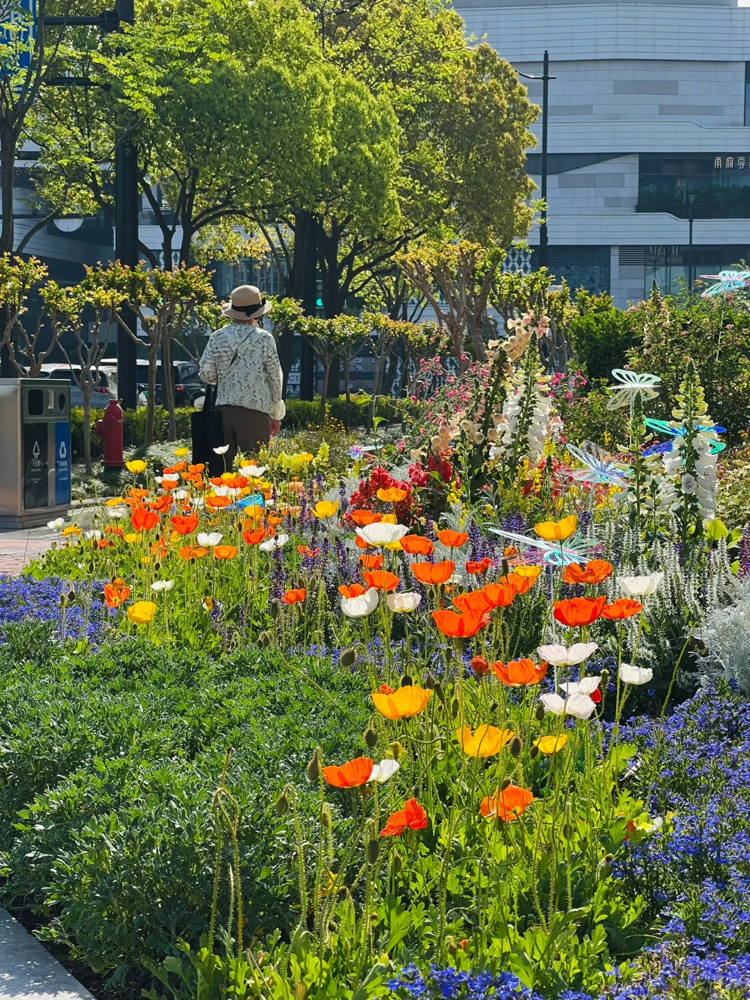 春日欢迎会｜周末有3w人去的上海赏花路线?