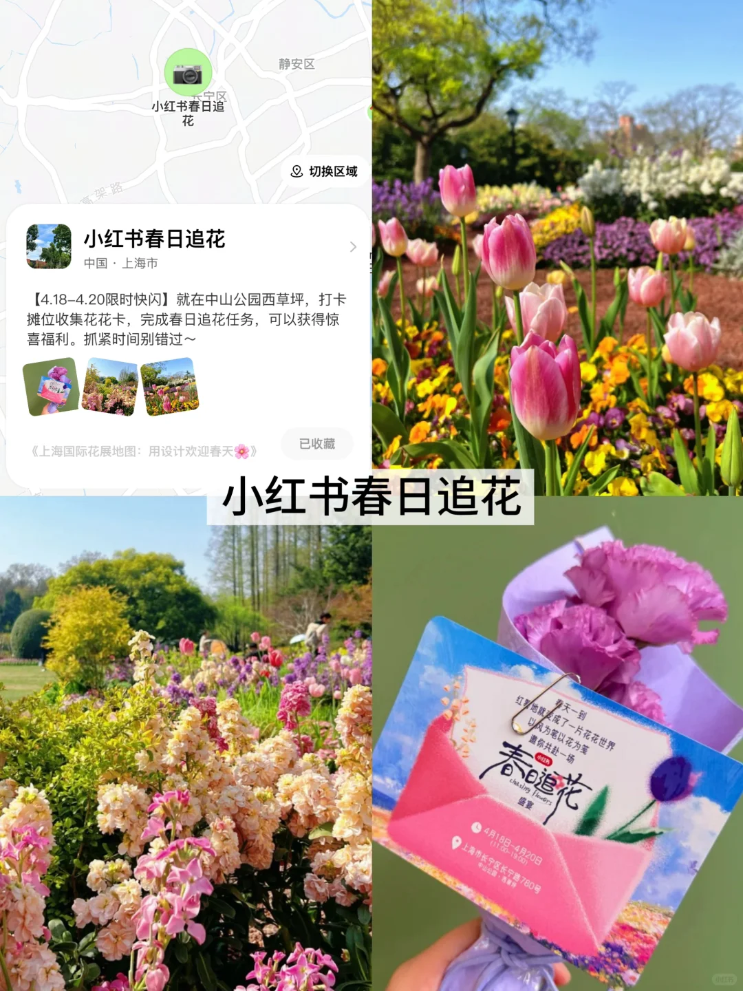 上海超全的2025国际花展花期指南来了！！