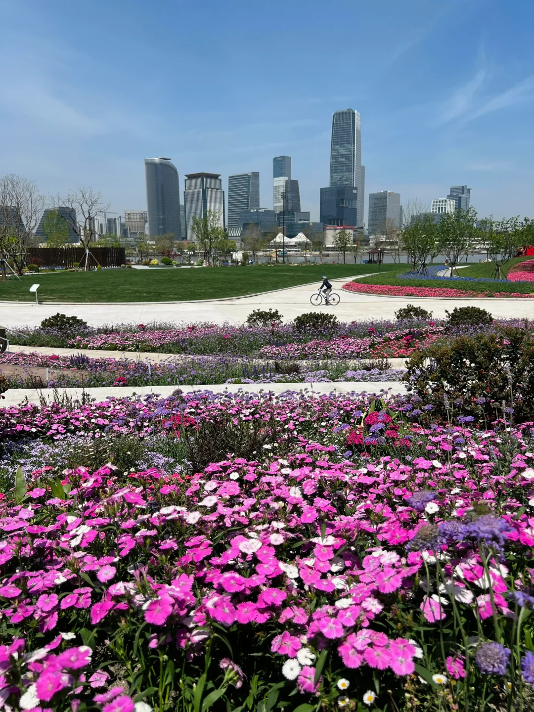 春日欢迎会｜周末有3w人去的上海赏花路线?