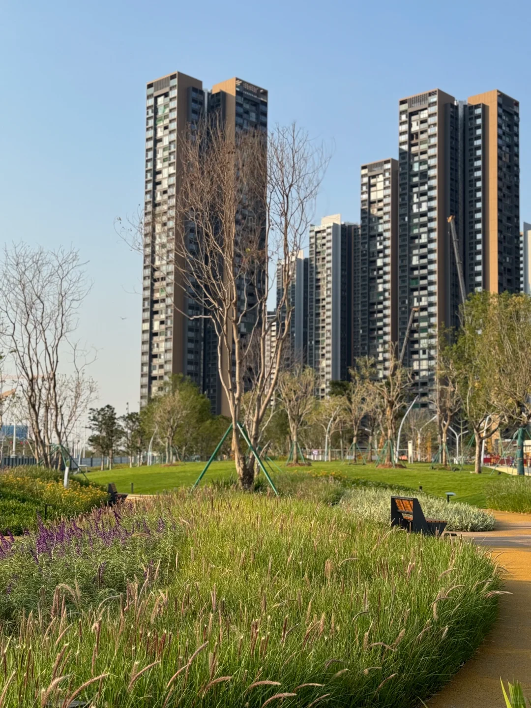 会展城实验学校旁街心公园