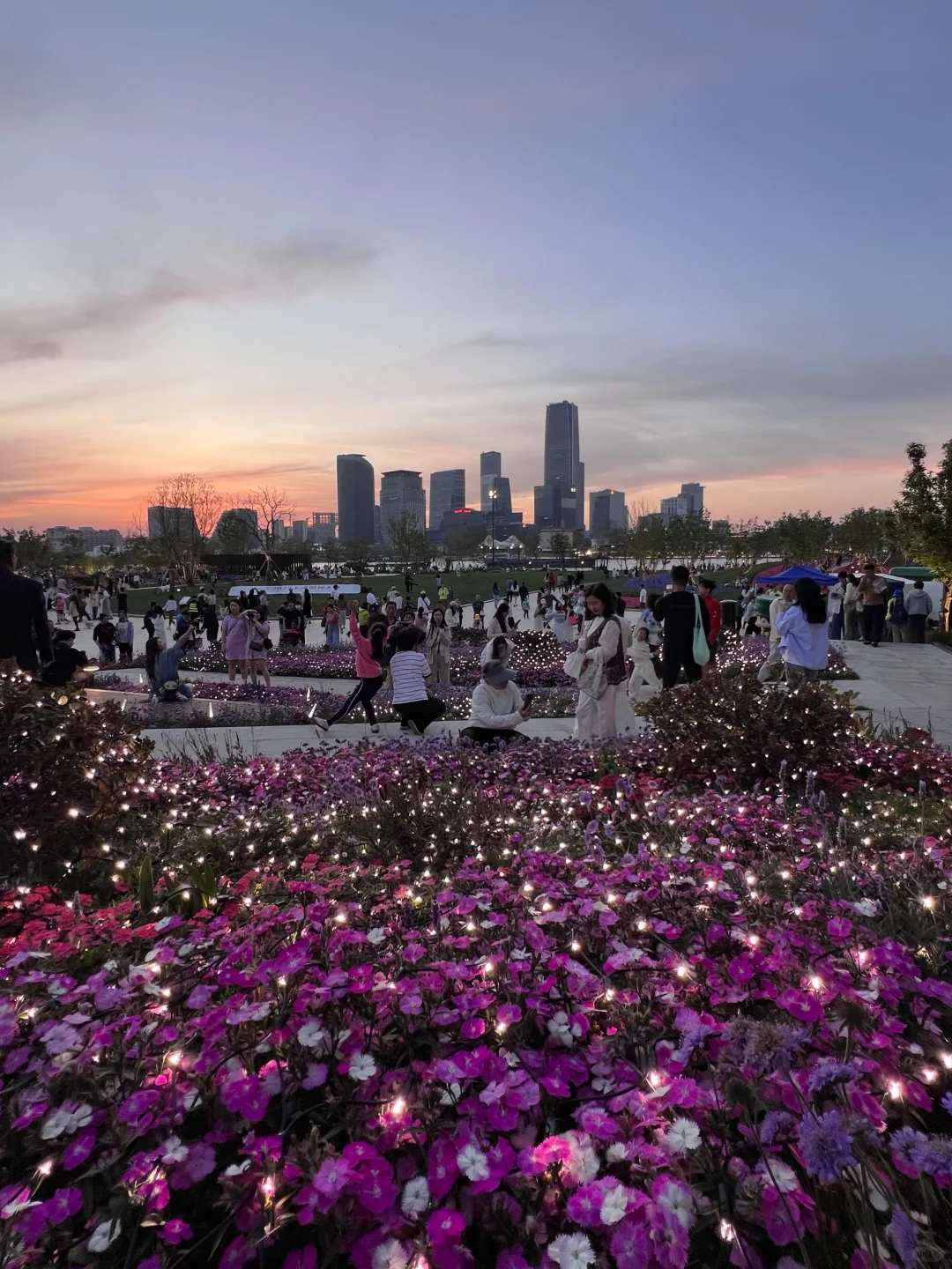 春日欢迎会｜周末有3w人去的上海赏花路线?
