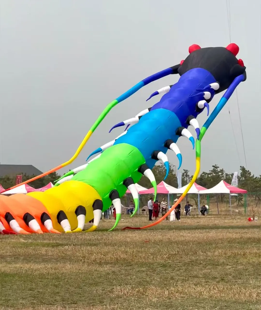 ?潍坊风筝节:万物皆可飞！