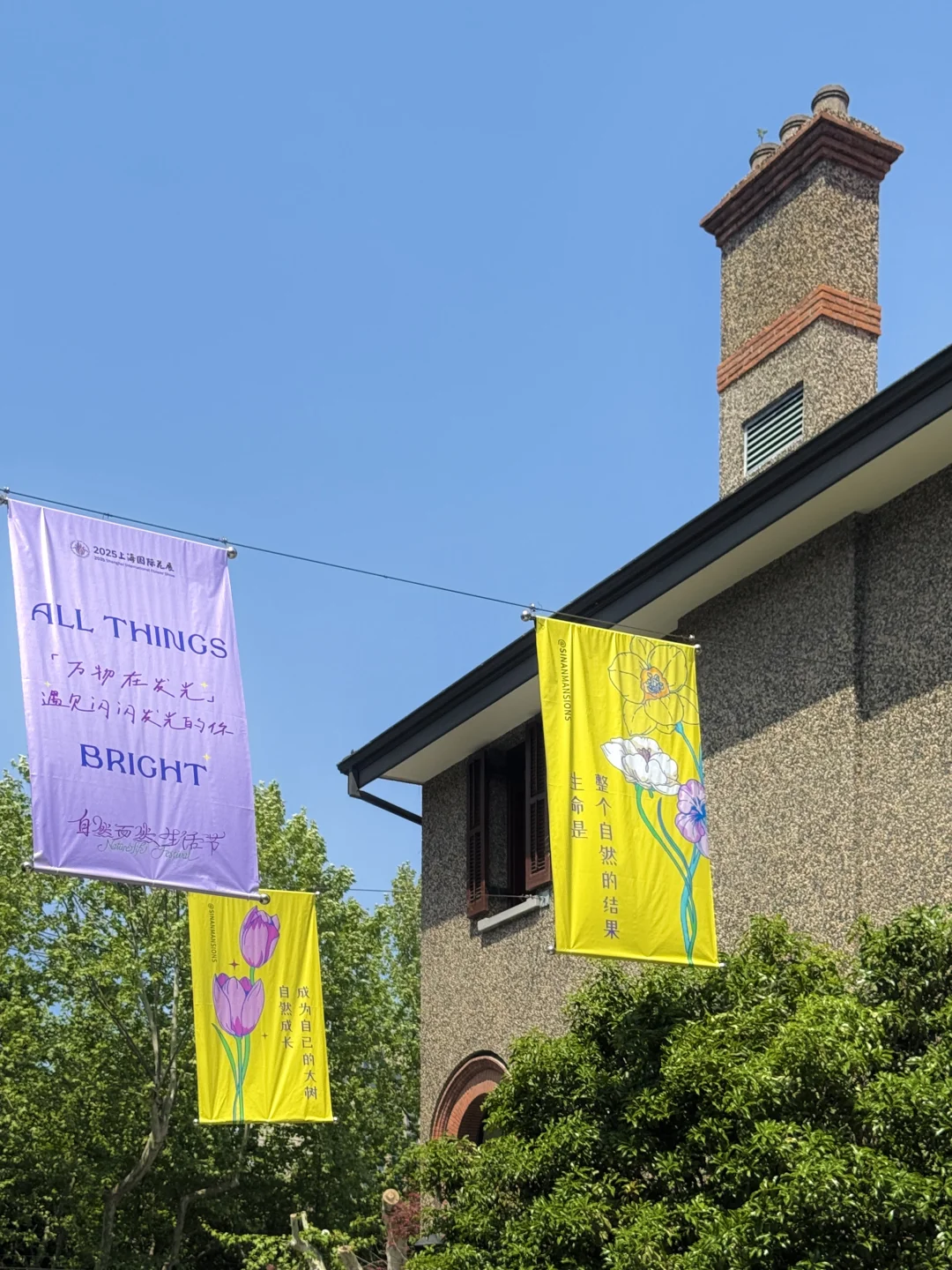 魔都看展|春日必看展?城市中心的莫奈花园