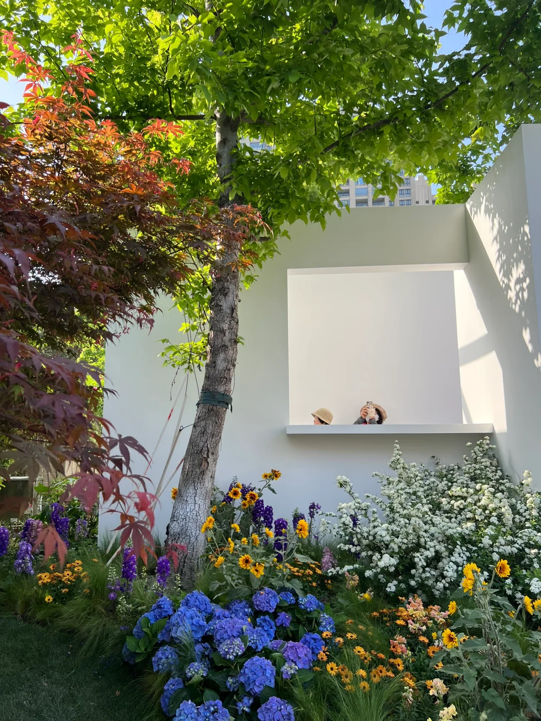 春日欢迎会｜有2w人周末去的上海赏花路线?