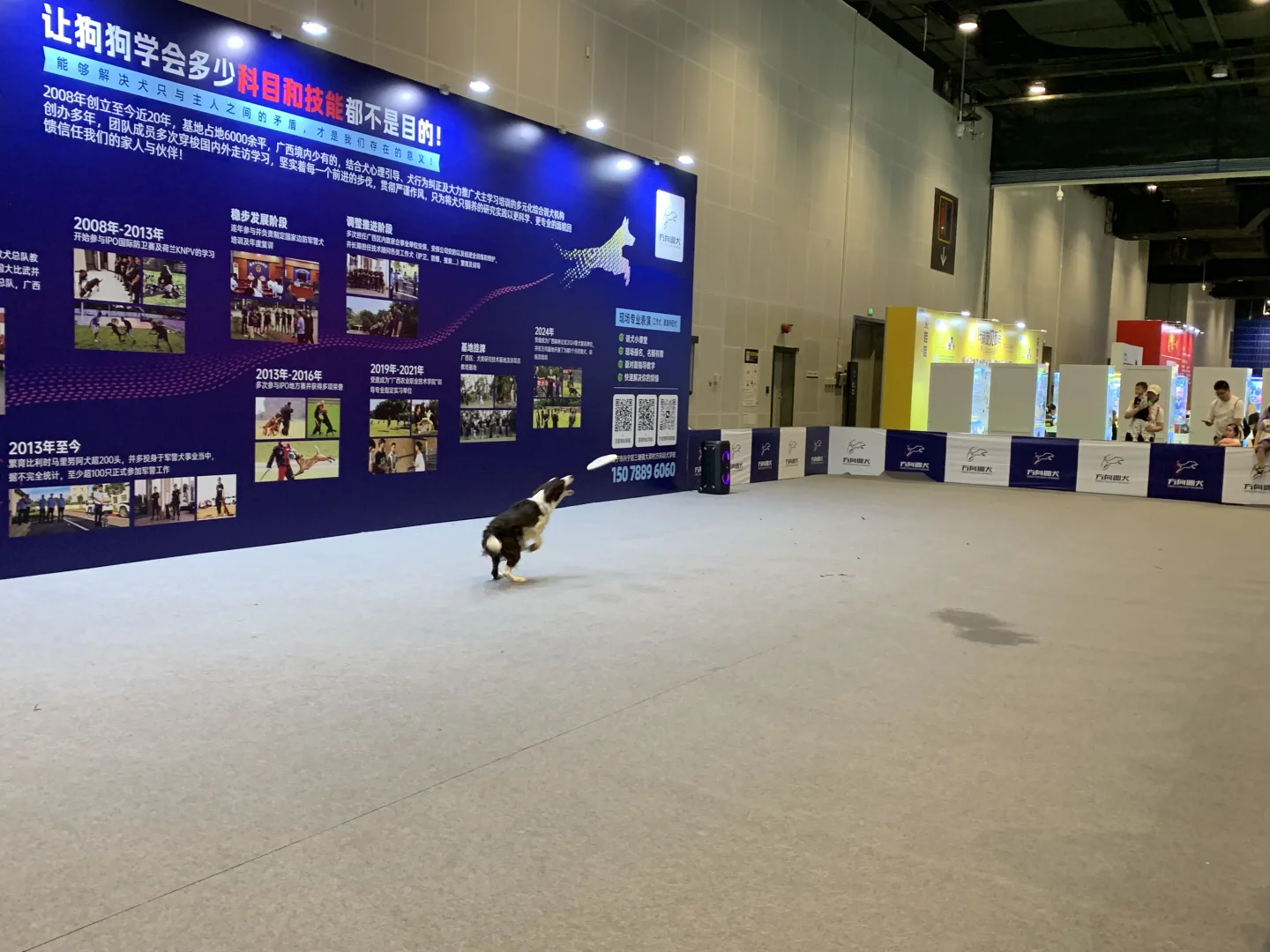 南宁东盟宠物博览会