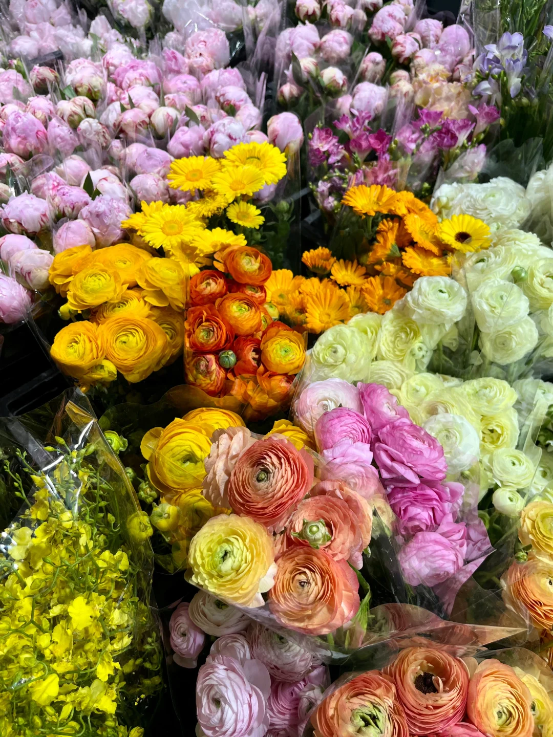 重庆买鲜花｜会展花市怎么逛？