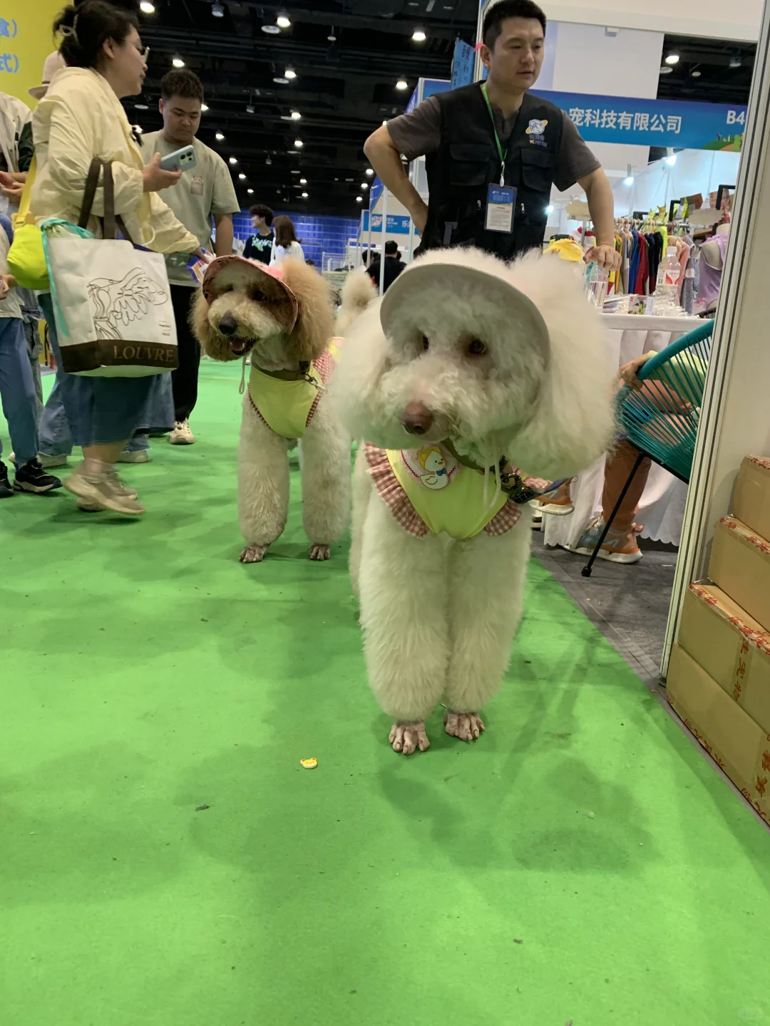 南宁东盟宠物博览会