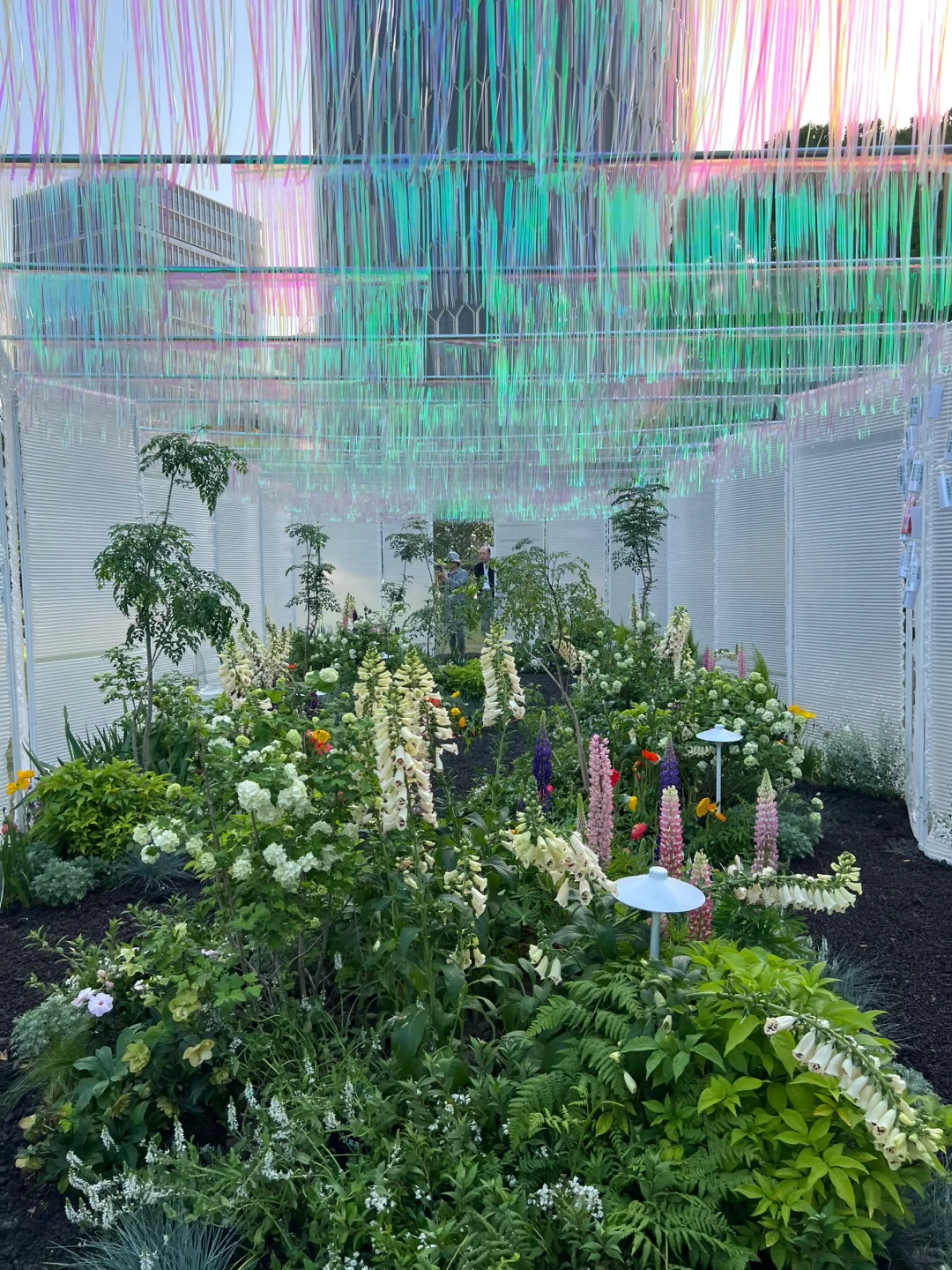 春日欢迎会｜有2w人周末去的上海赏花路线?