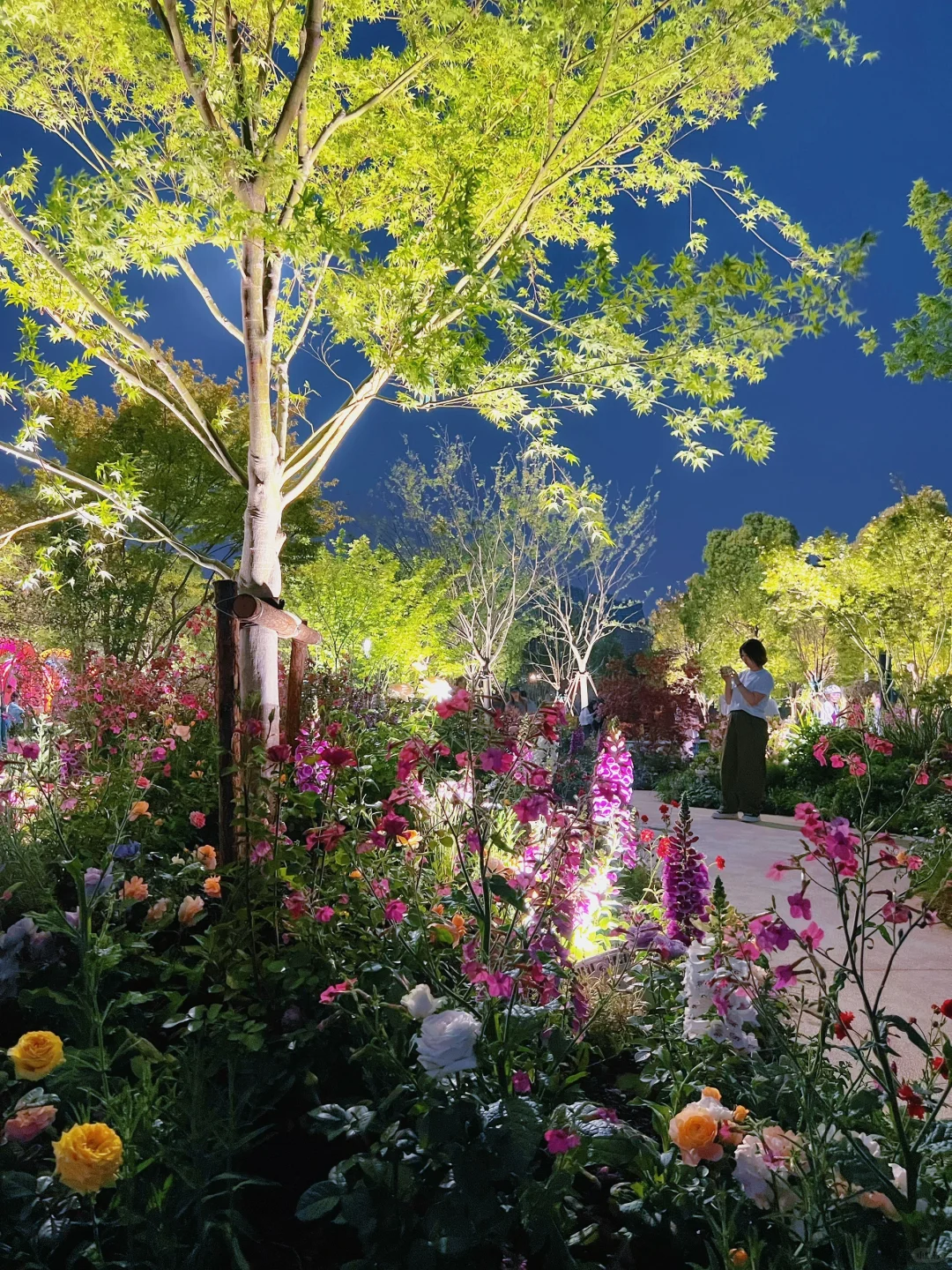 春日欢迎会|上海花展简直莫奈花园+爱乐之城