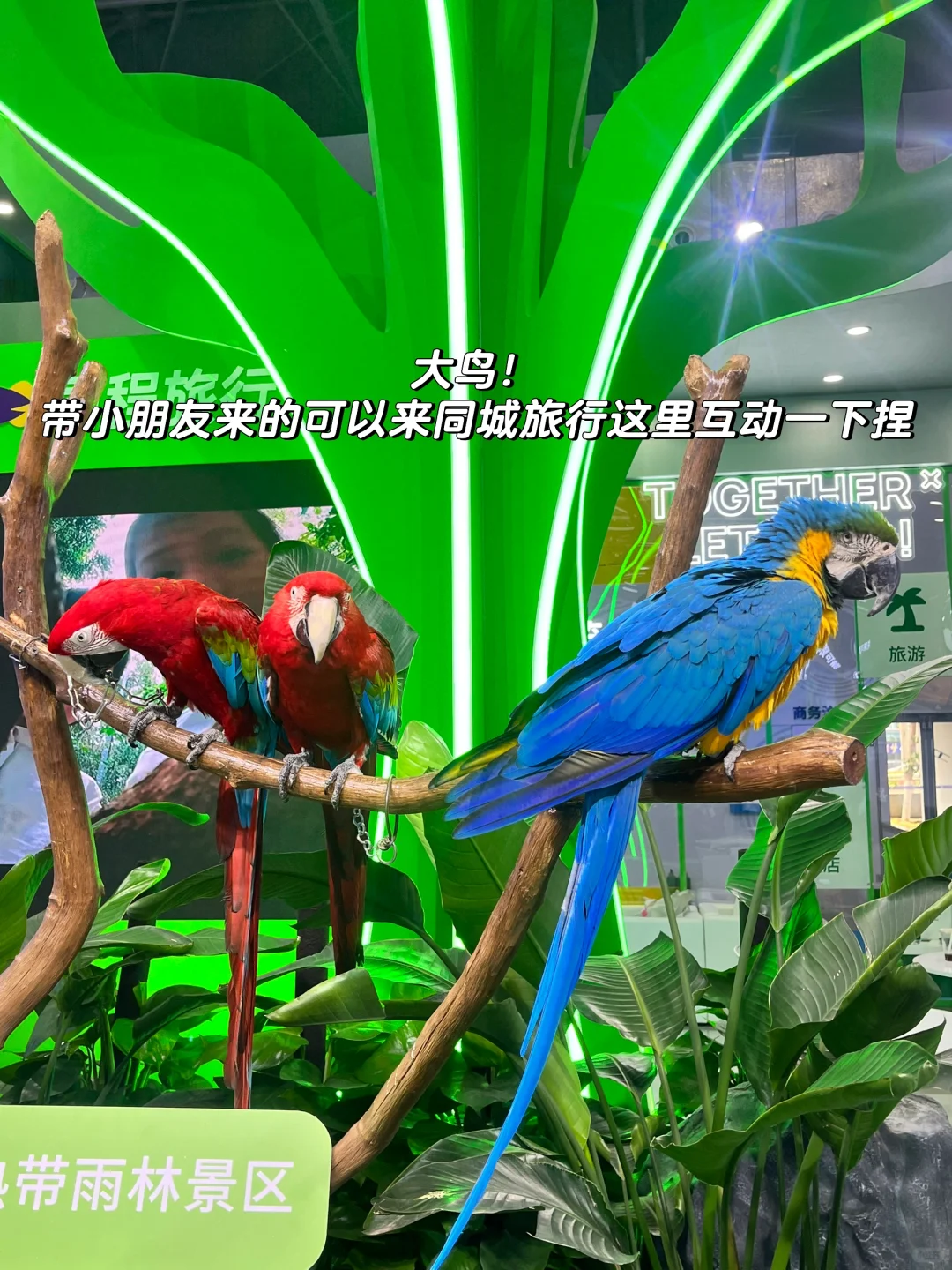 2025消博会薅羊毛攻略?️（不捡垃圾版）