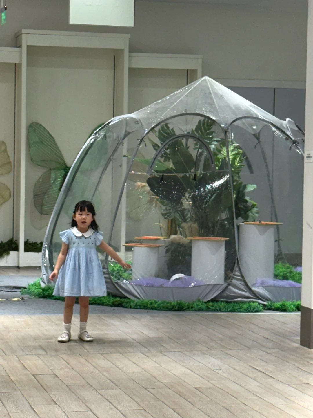 深圳新展｜?华南首家超500 m²大型蝴蝶展