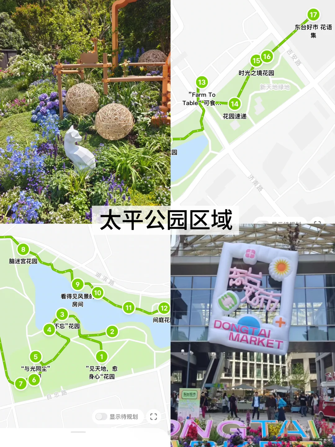 上海超全的2025国际花展花期指南来了！！