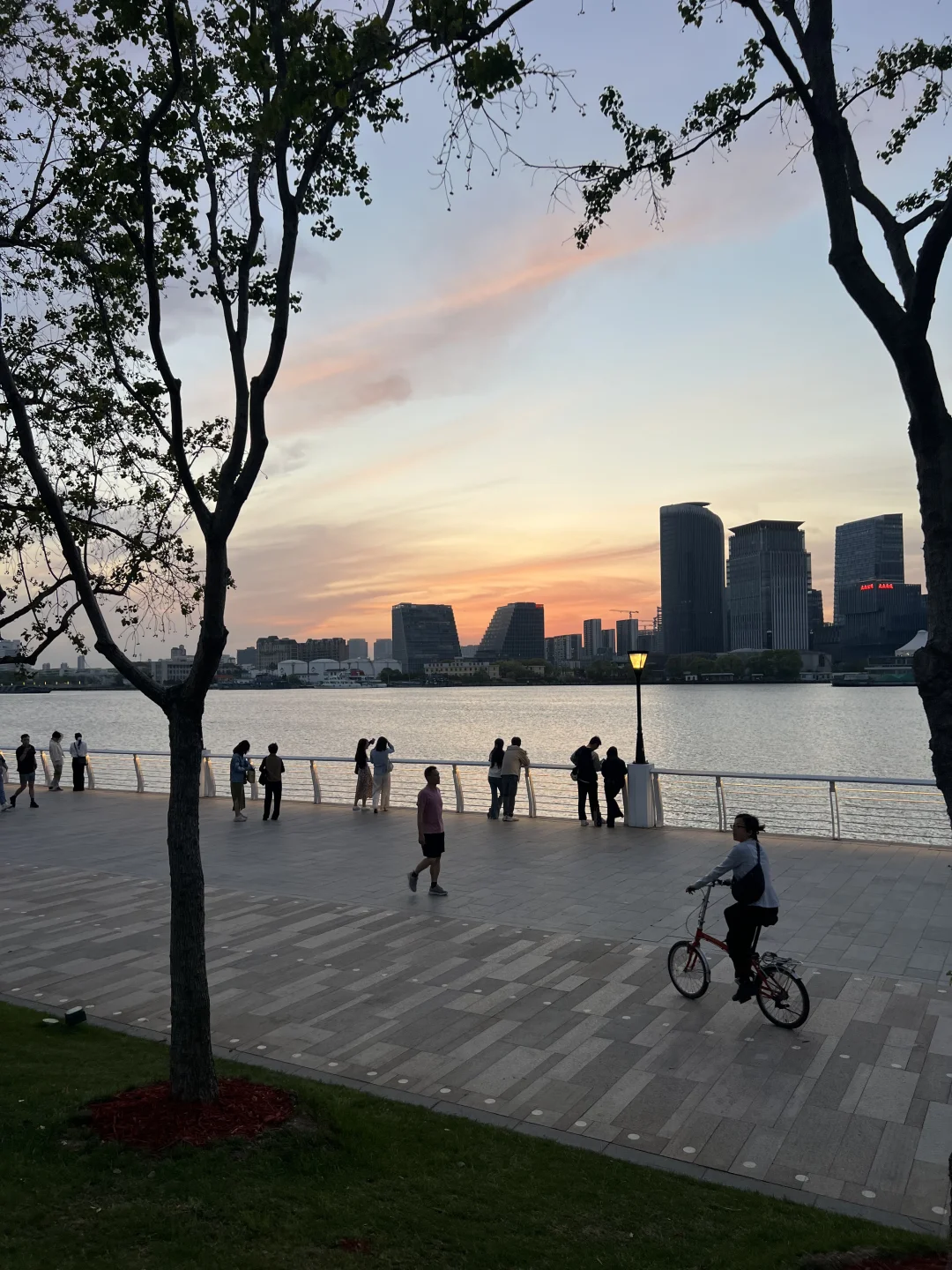 春日欢迎会|上海花展简直莫奈花园+爱乐之城