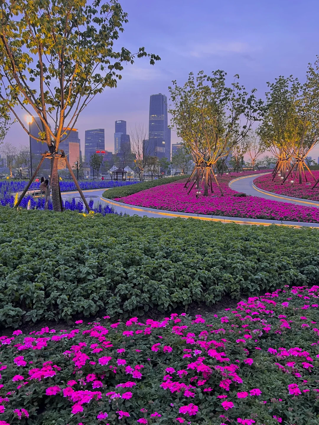 春日欢迎会|上海花展简直莫奈花园+爱乐之城