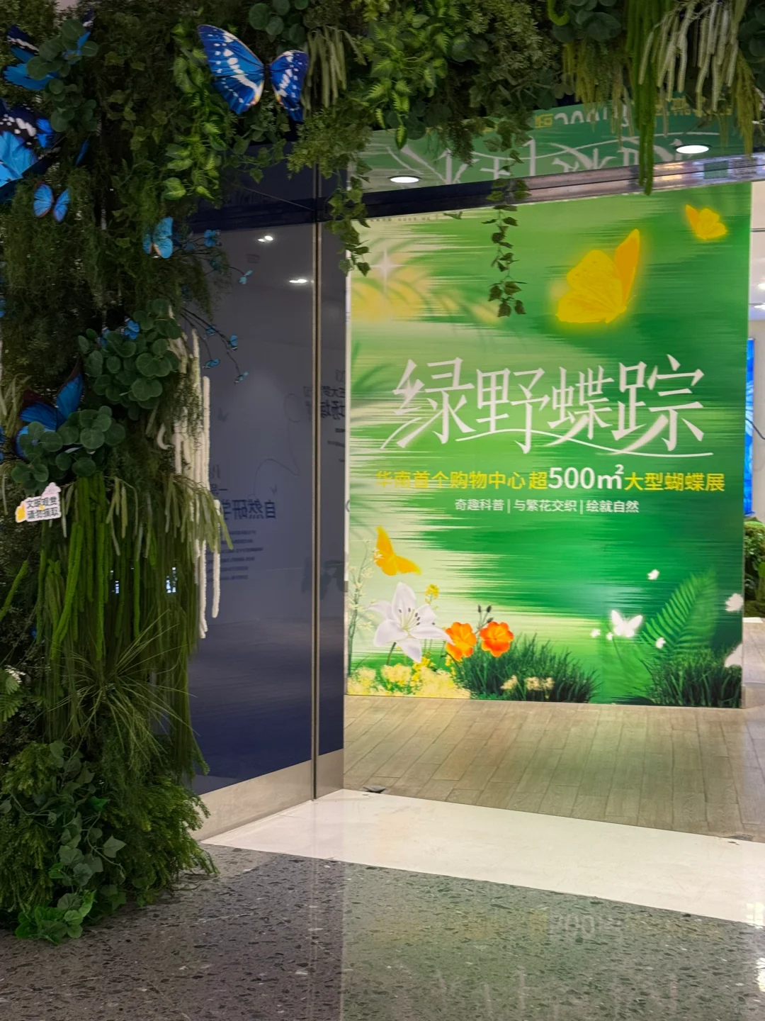深圳新展｜?华南首家超500 m²大型蝴蝶展