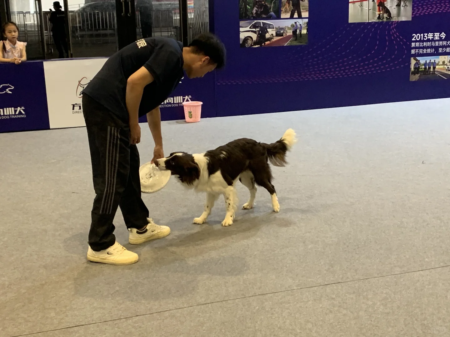 南宁东盟宠物博览会