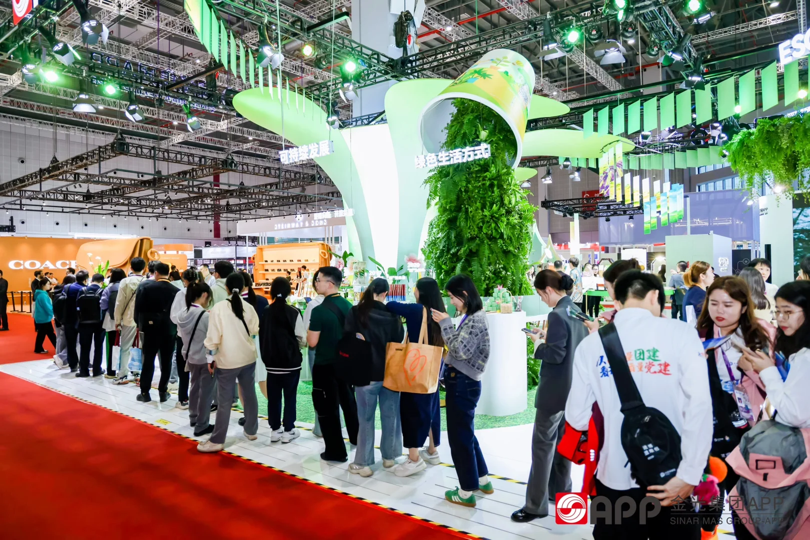 鲜花、草地、绿植！进博会的魅力！