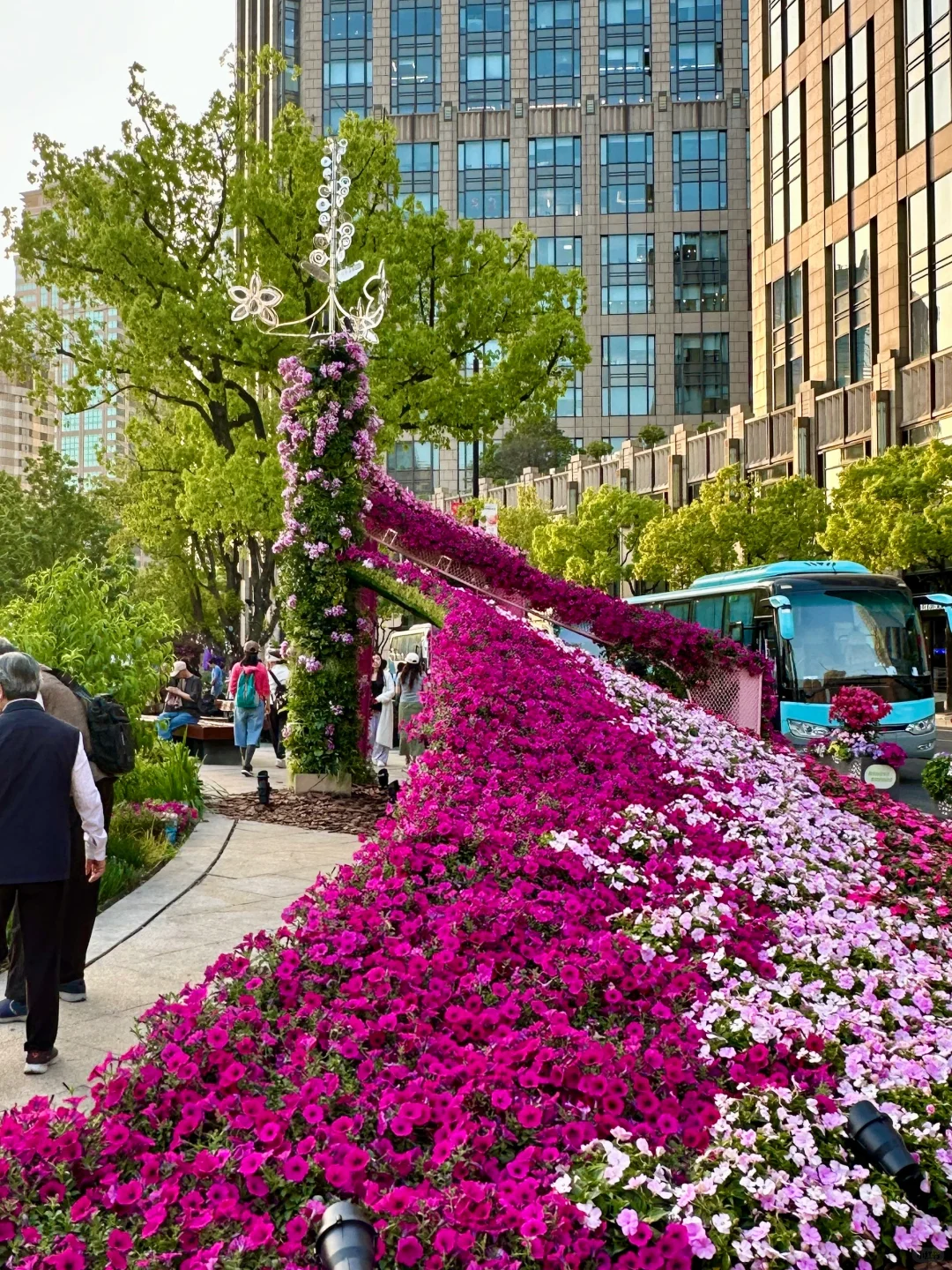 春日欢迎会｜?上海花展1.5h懒人赏花路线！