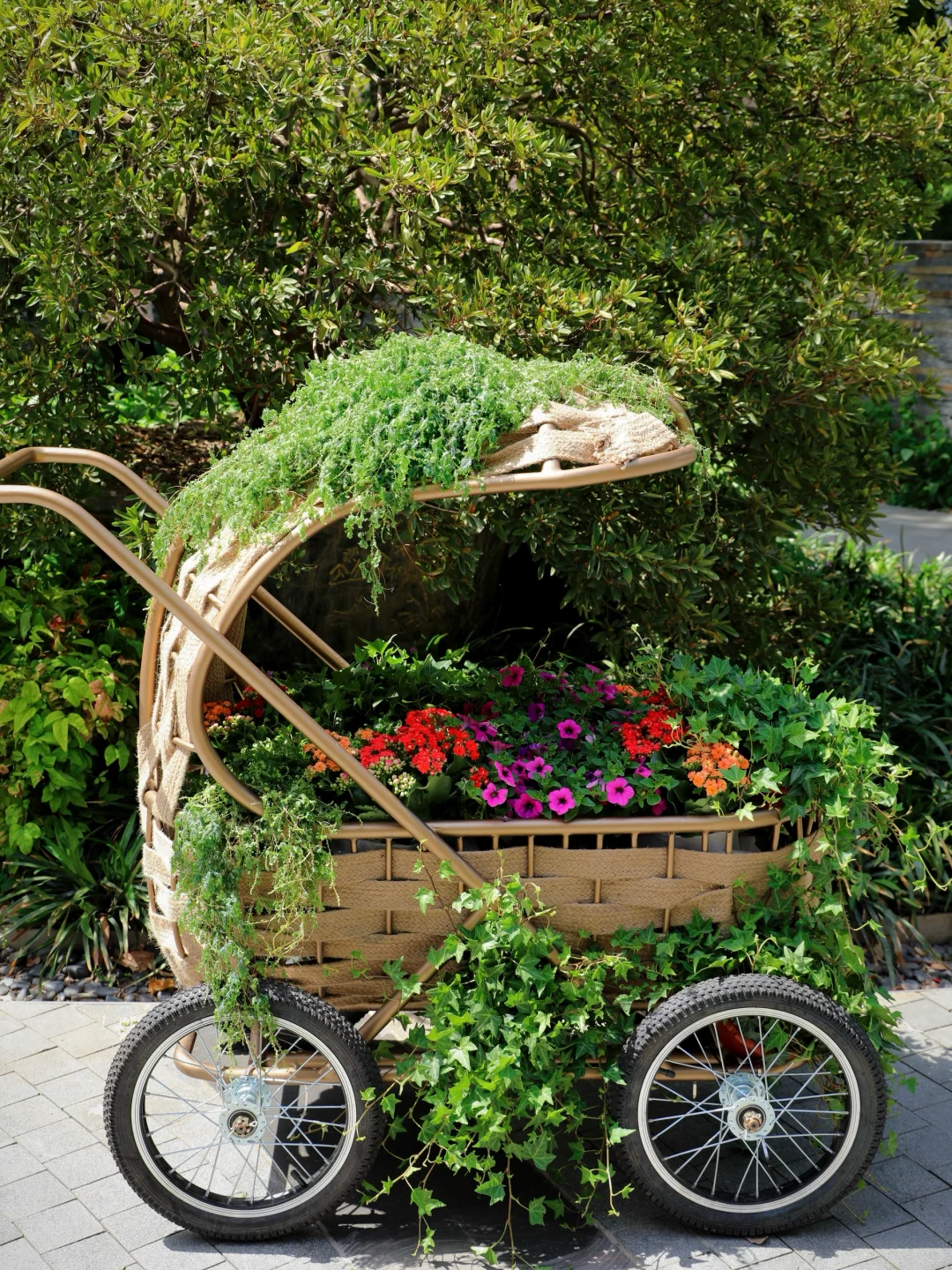 嗲呀‼️新天地不愧是上海花展主会场?附攻略