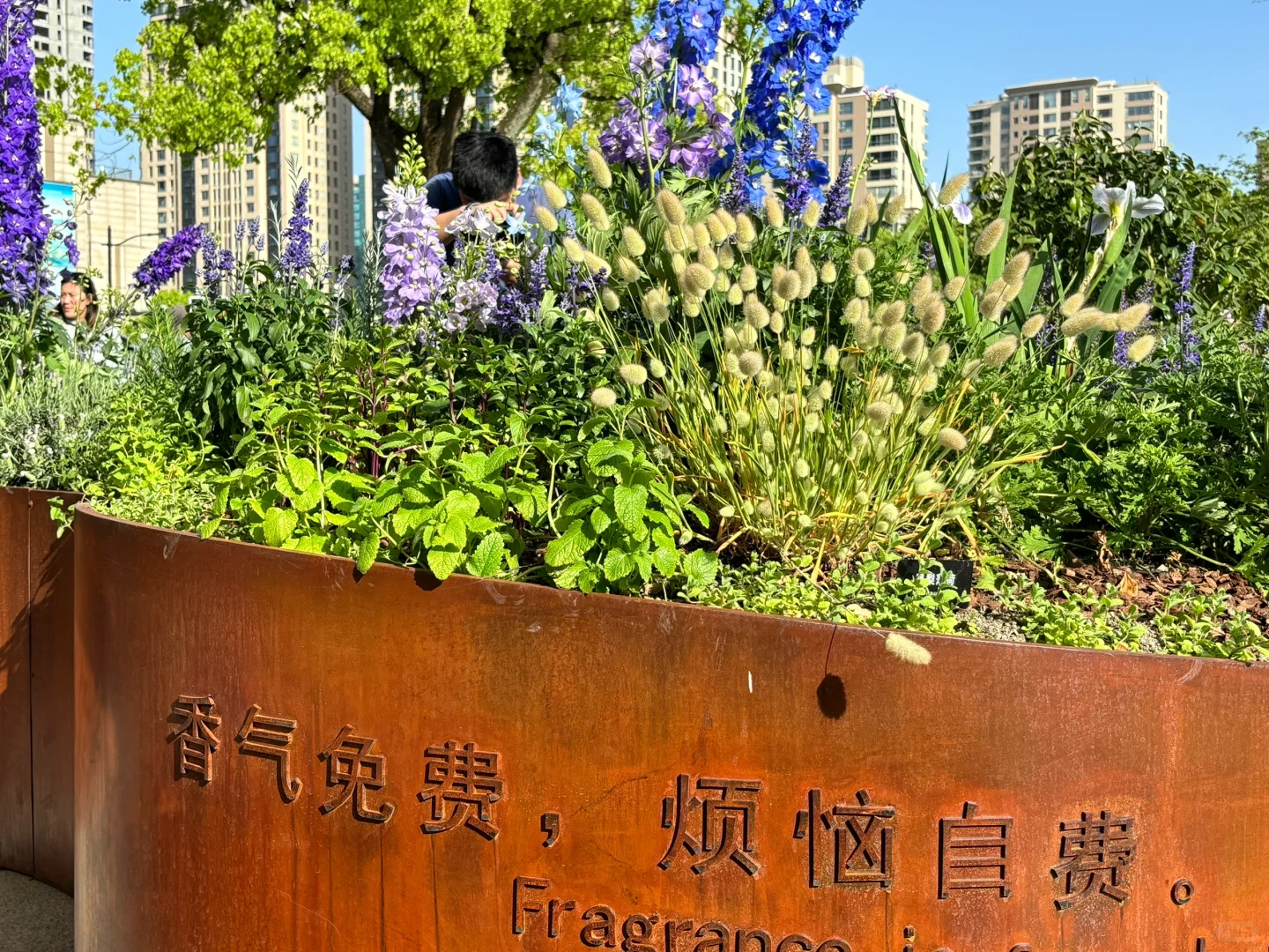 超喜欢上海交大设计学院的“脑迷宫”花园