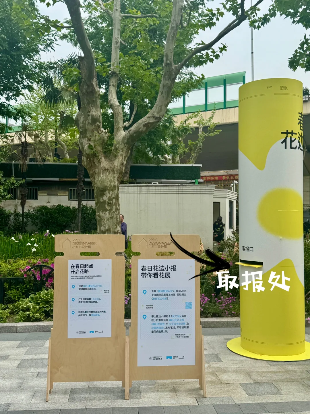 上海花展暴走攻略！亮黄小报开启夏日副本