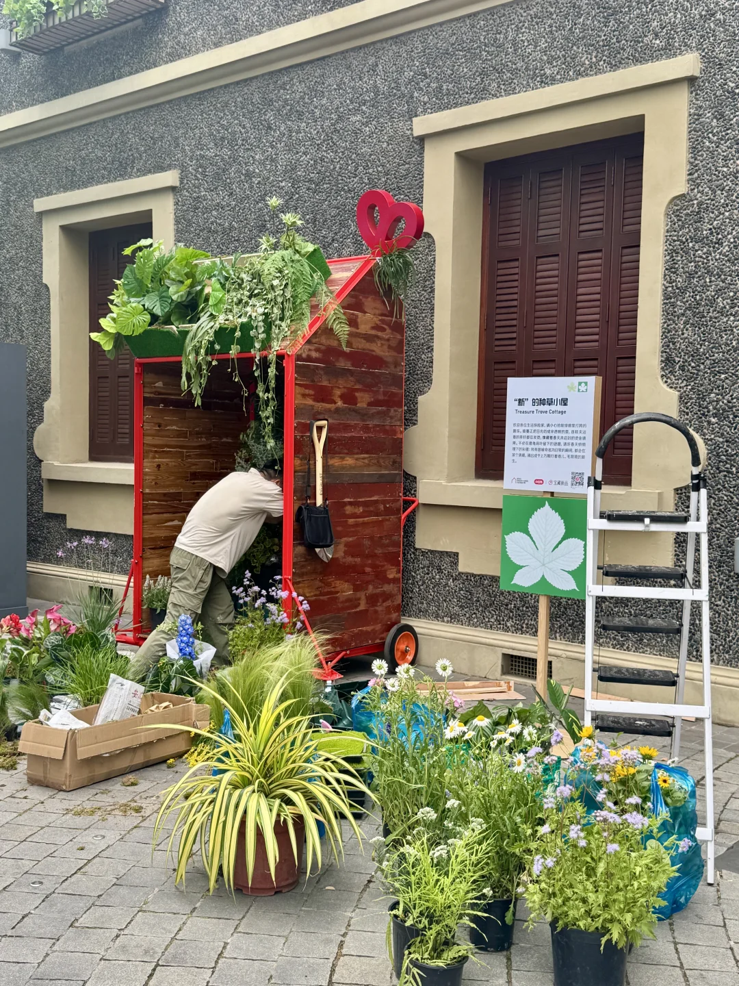 上海花展暴走攻略！亮黄小报开启夏日副本