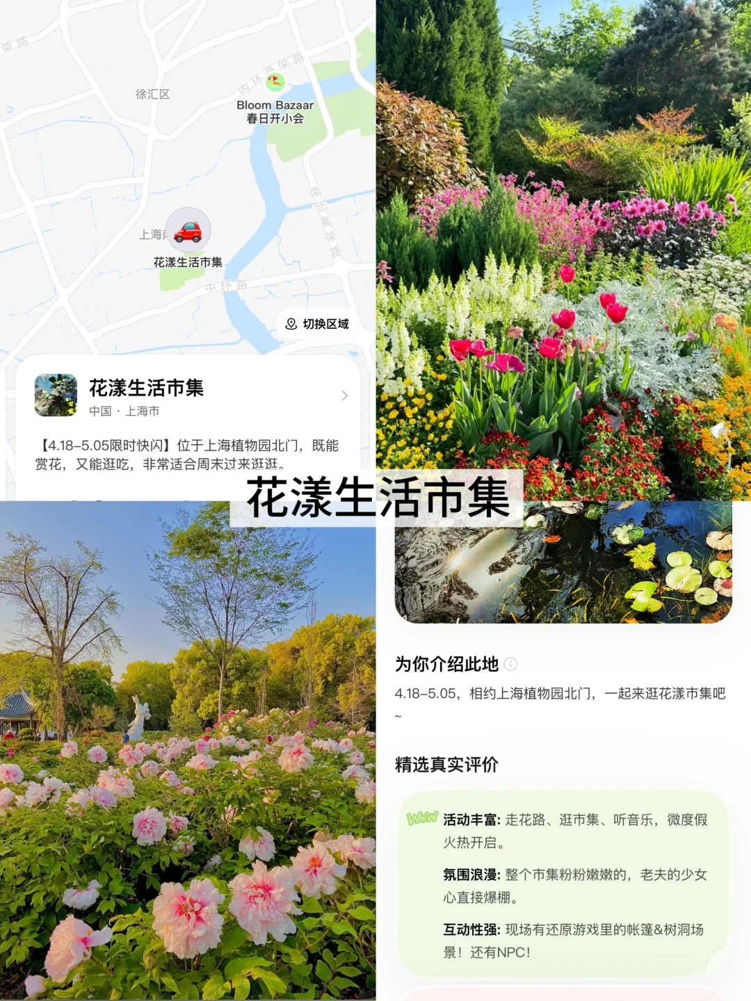 上海超全的2025国际花展花期指南来了！！