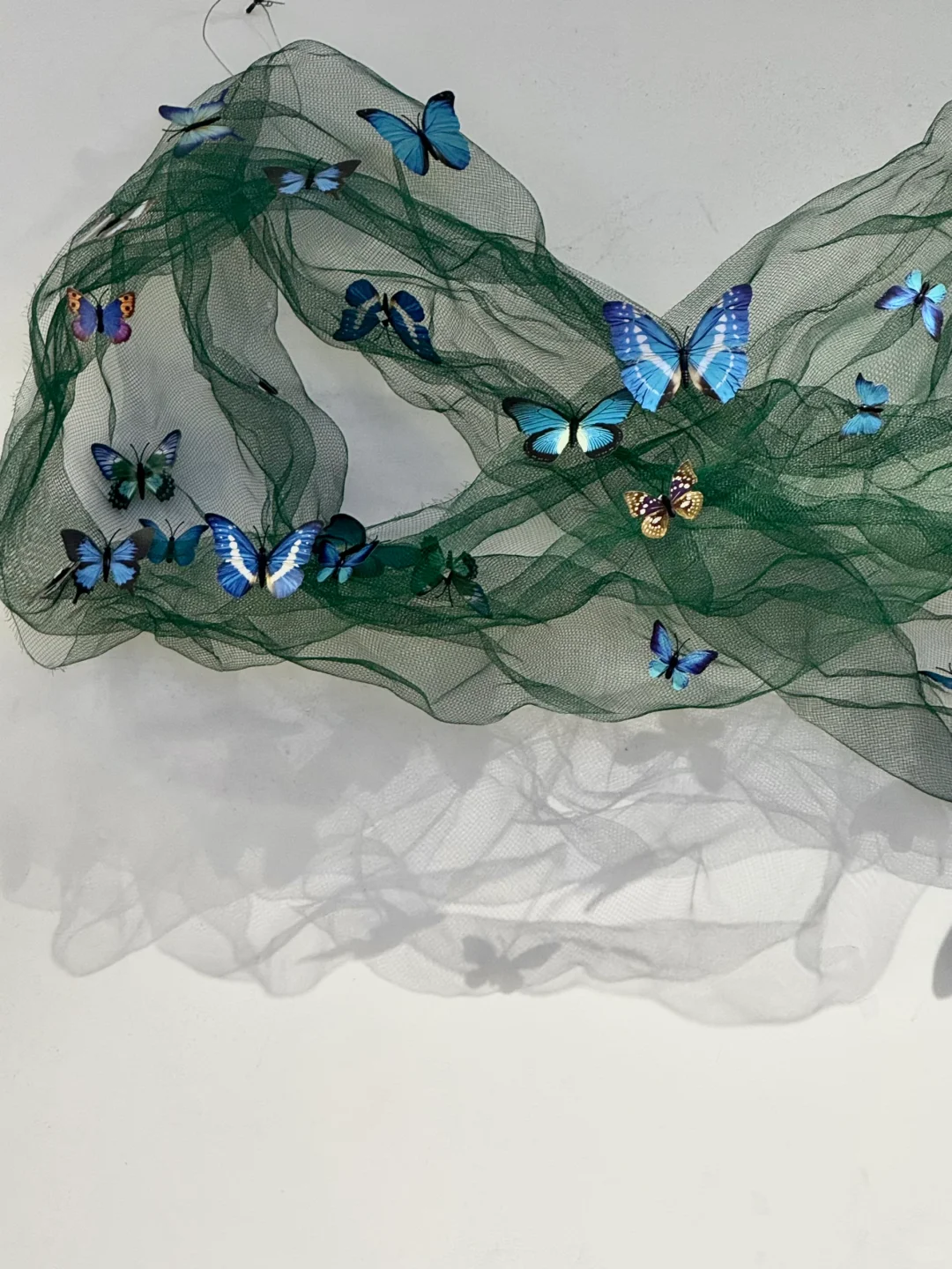 深圳新展｜?华南首家超500 m²大型蝴蝶展